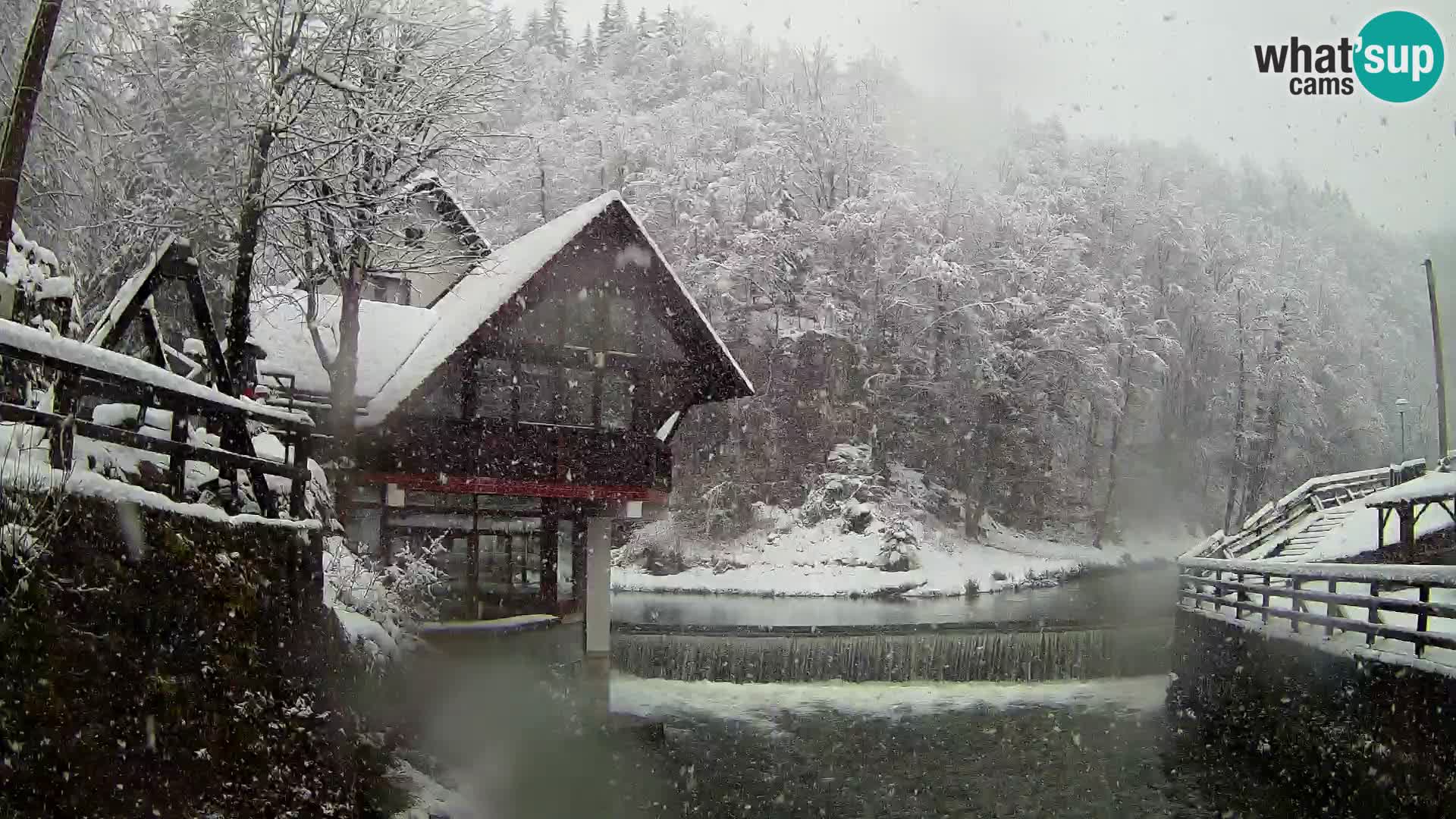 Camera en vivo Cañón Kamačnik – Vrbovsko – Croacia