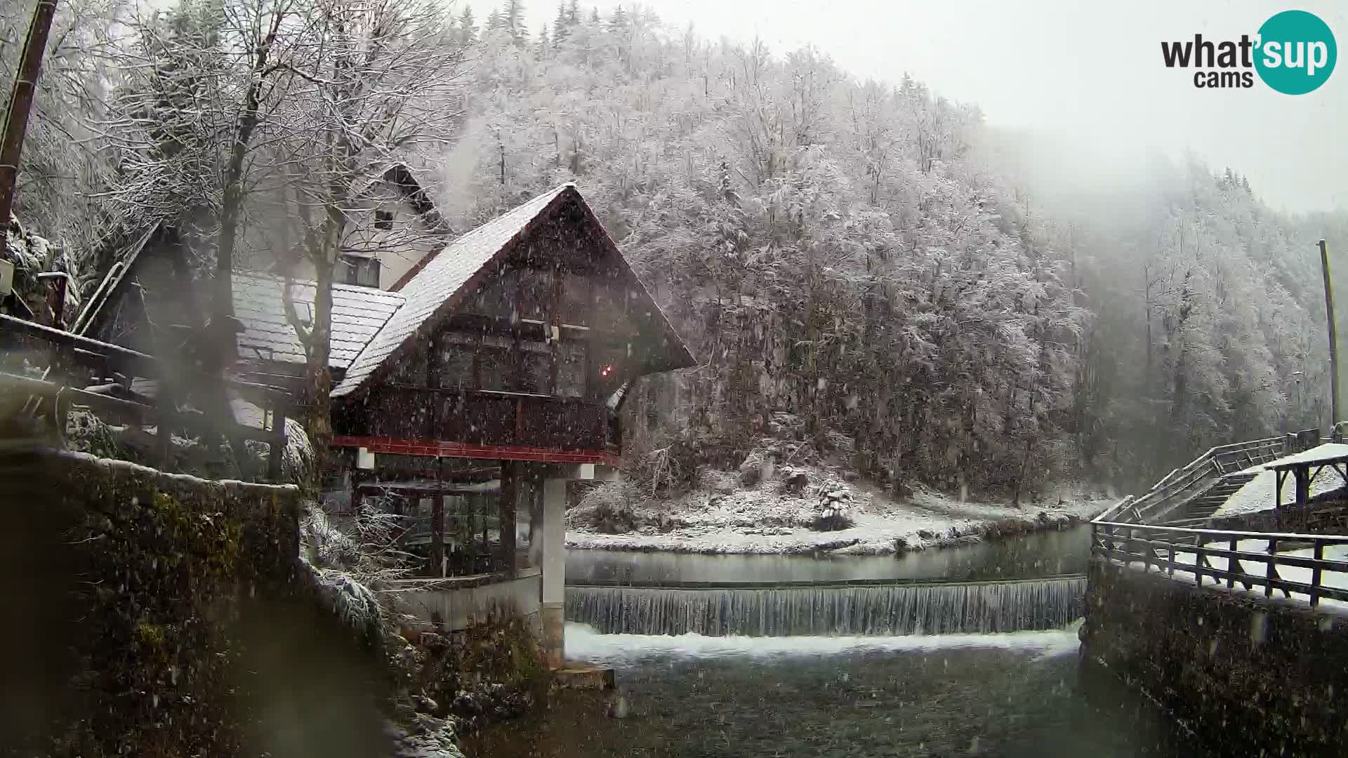 Camera en vivo Cañón Kamačnik – Vrbovsko – Croacia
