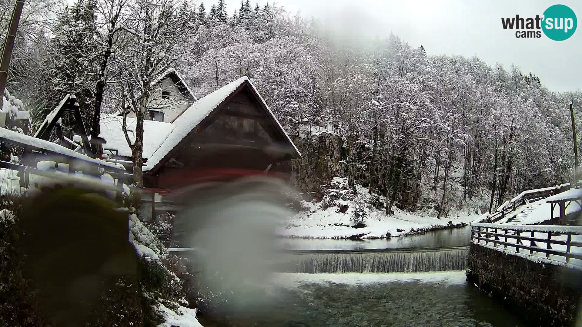 Camera en vivo Cañón Kamačnik – Vrbovsko – Croacia