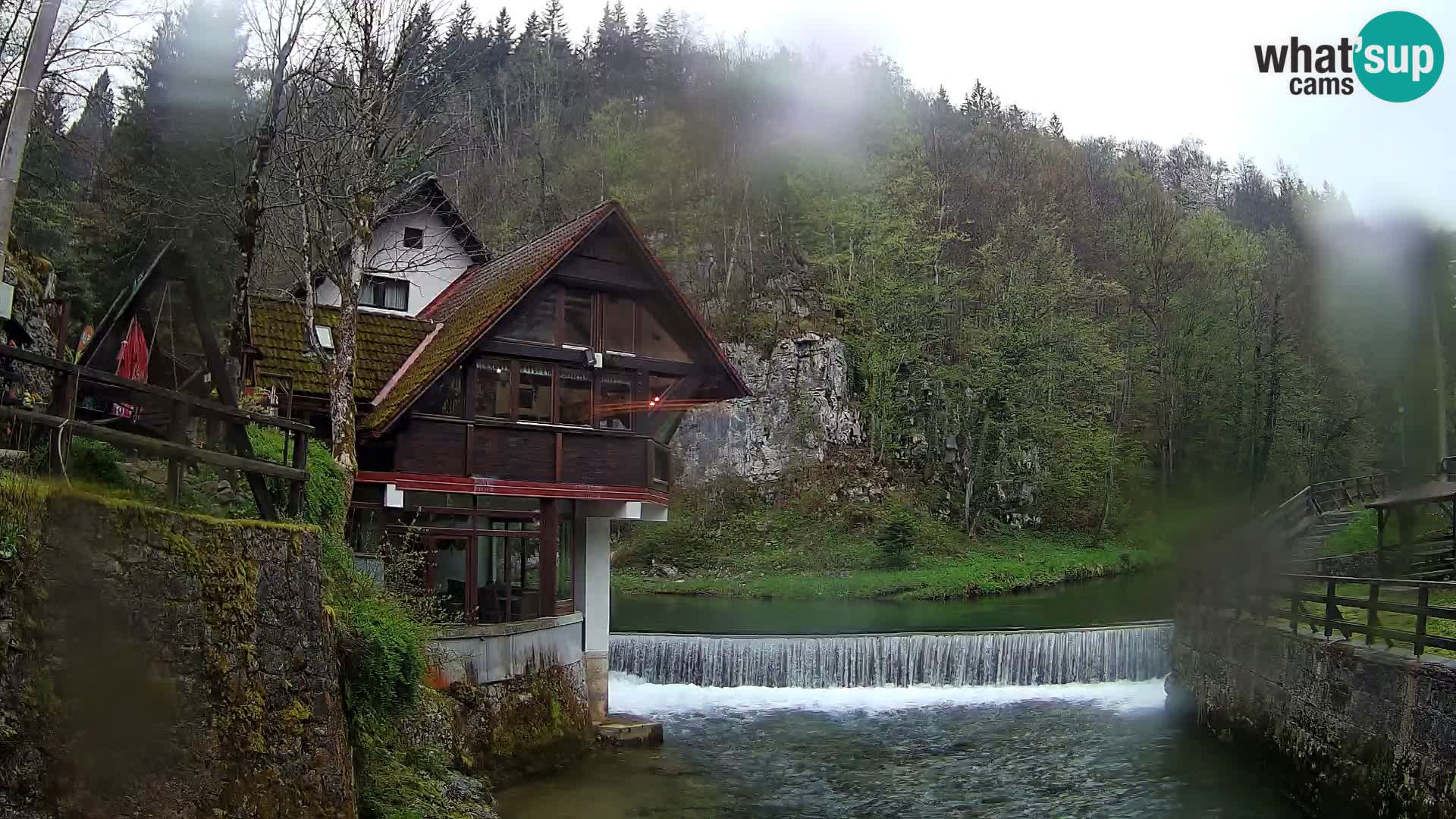 Camera en vivo Cañón Kamačnik – Vrbovsko – Croacia