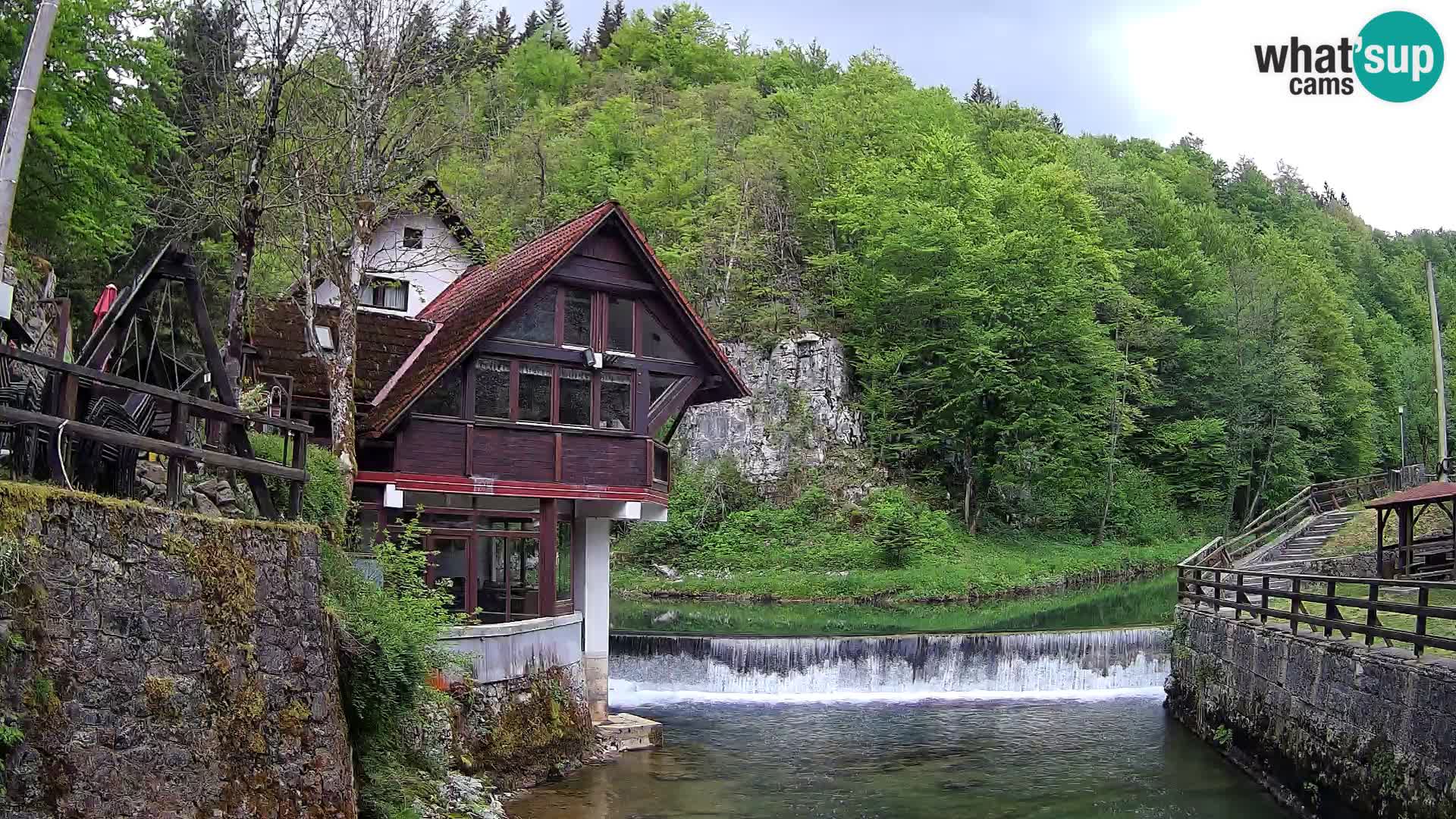 Camera en vivo Cañón Kamačnik – Vrbovsko – Croacia
