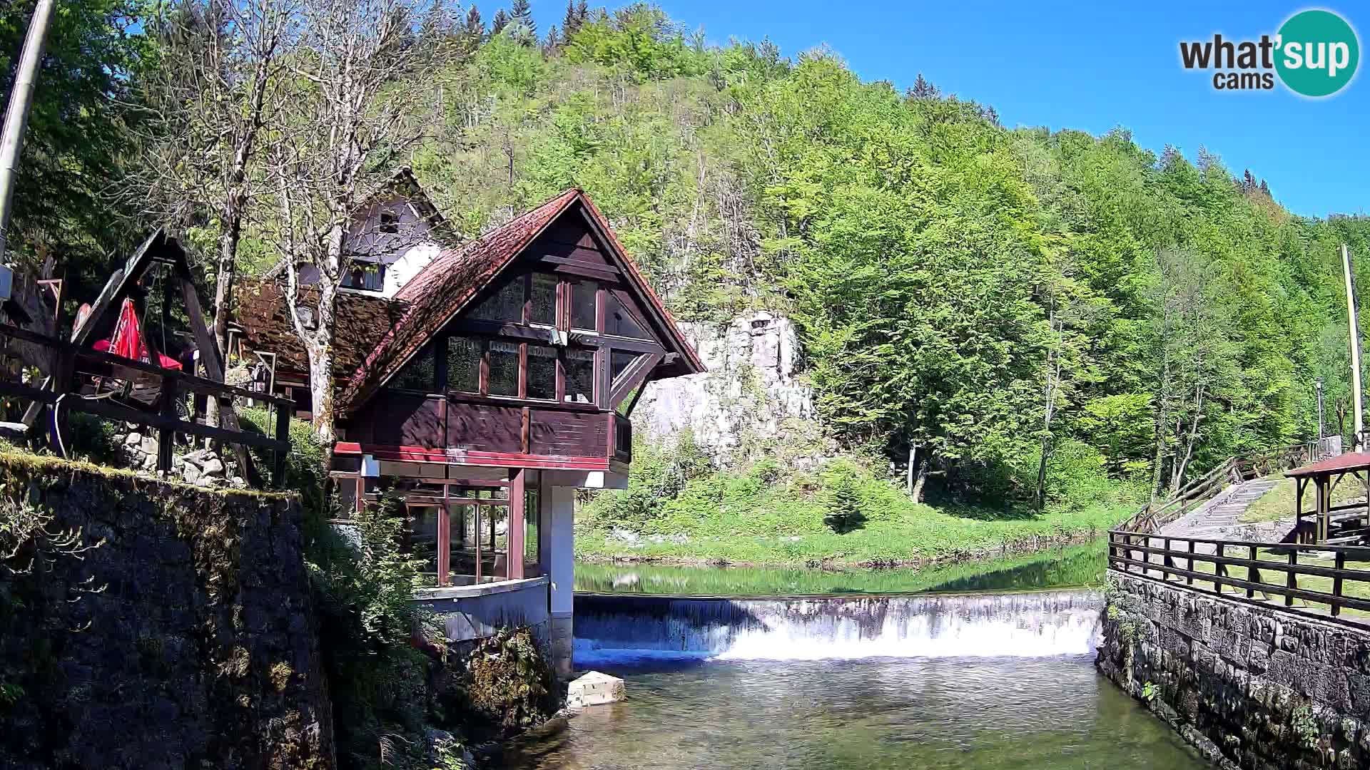 Camera en vivo Cañón Kamačnik – Vrbovsko – Croacia