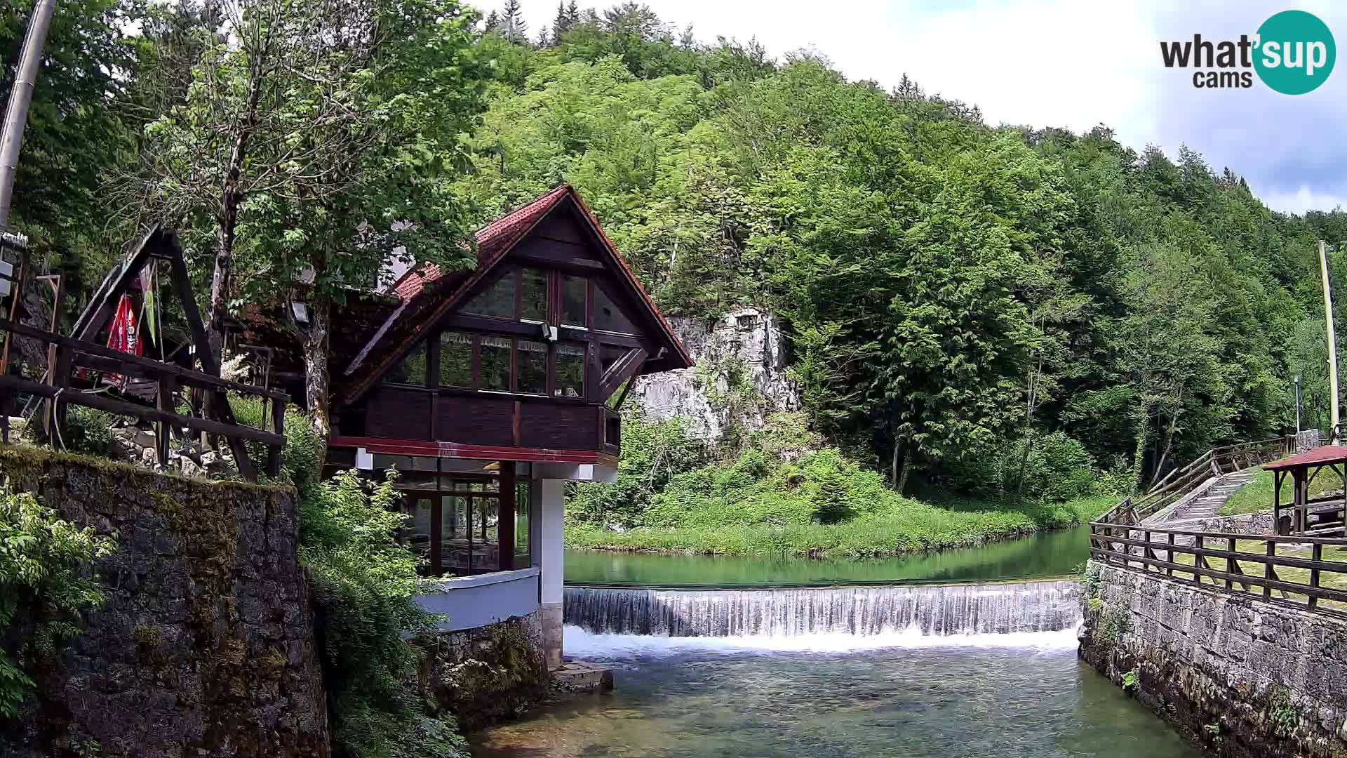 Webcam Kamačnik-Schlucht in Vrbovsko, Kroatien