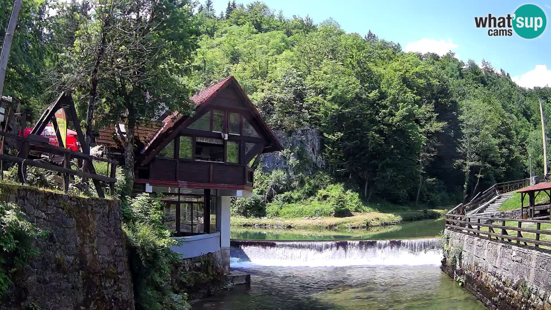 Canyon de Kamacnik Webcam – Vrbovsko – Croatie