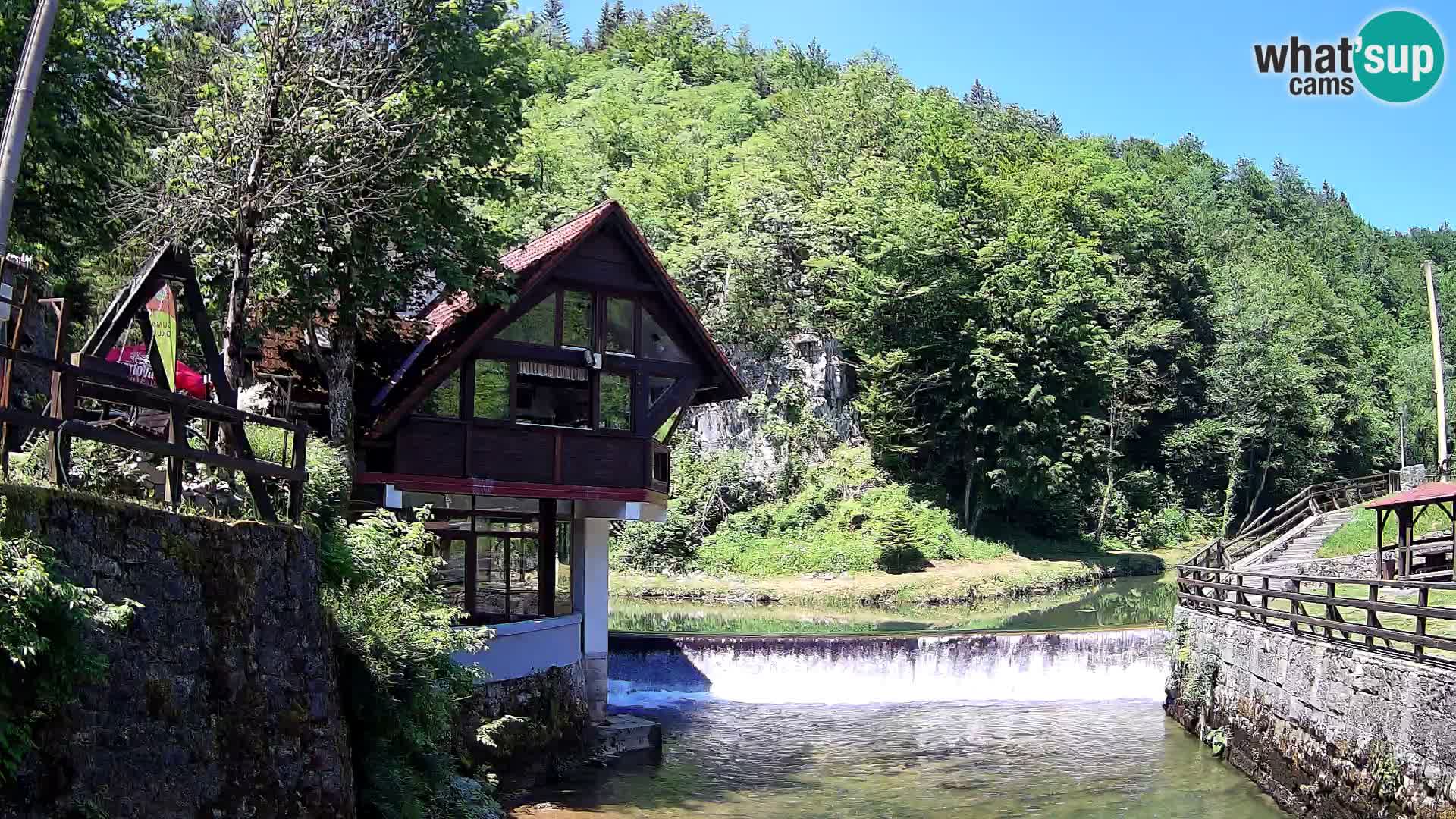 Web kamera kanjon Kamačnik – Vrbovsko