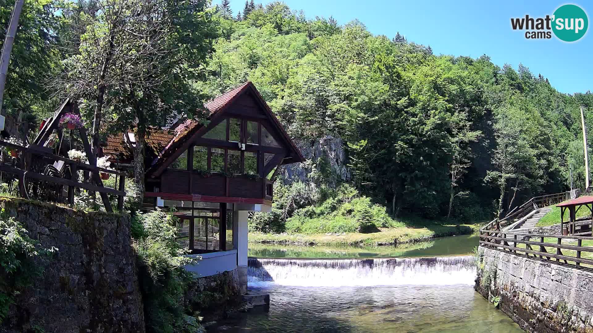 Canyon de Kamacnik Webcam – Vrbovsko – Croatie