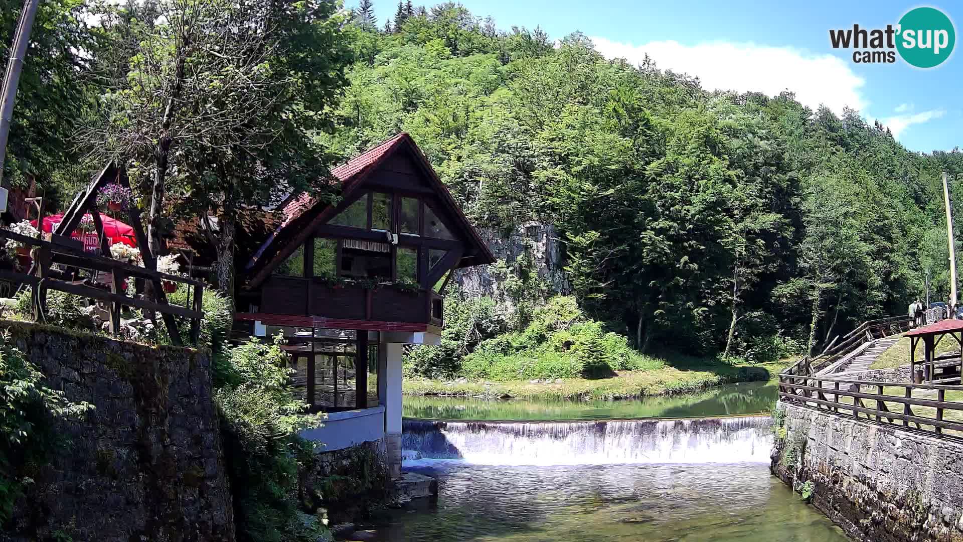 Canyon de Kamacnik Webcam – Vrbovsko – Croatie