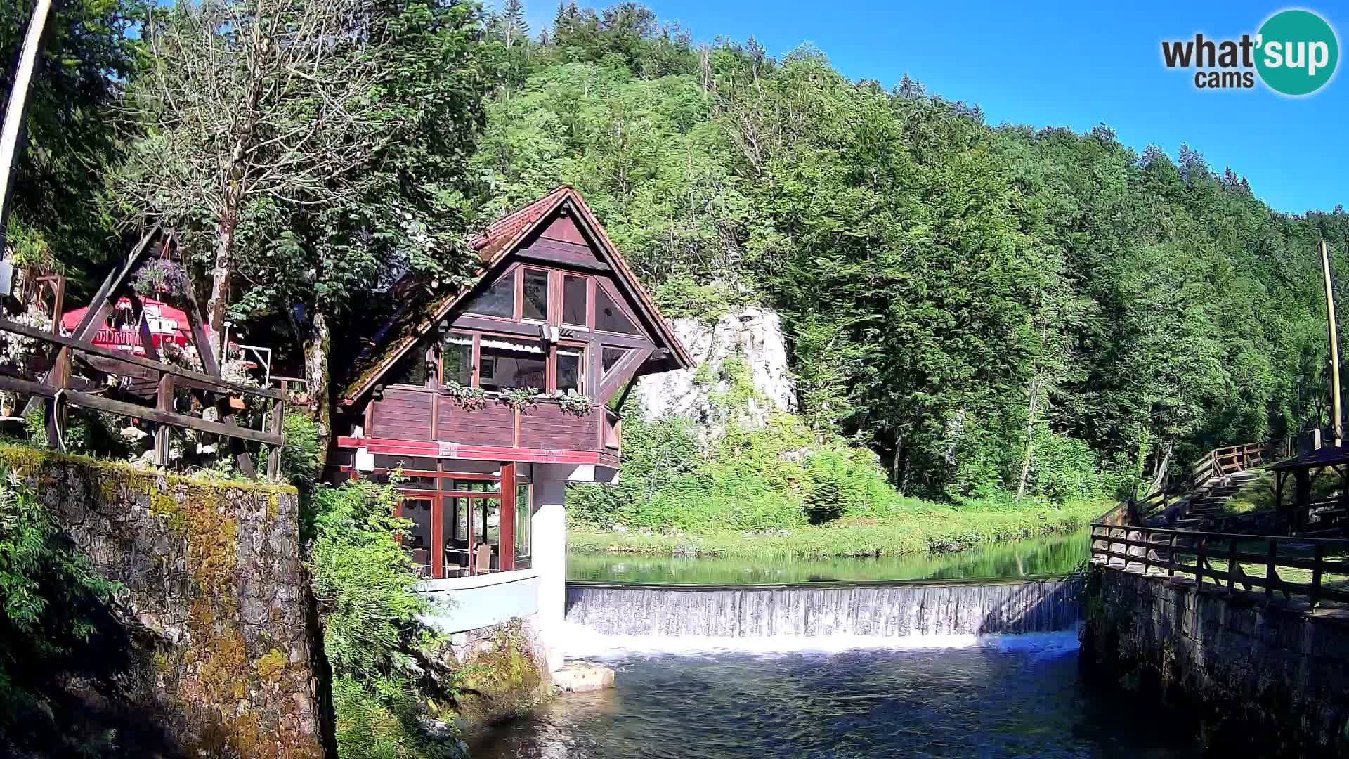 Canyon de Kamacnik Webcam – Vrbovsko – Croatie