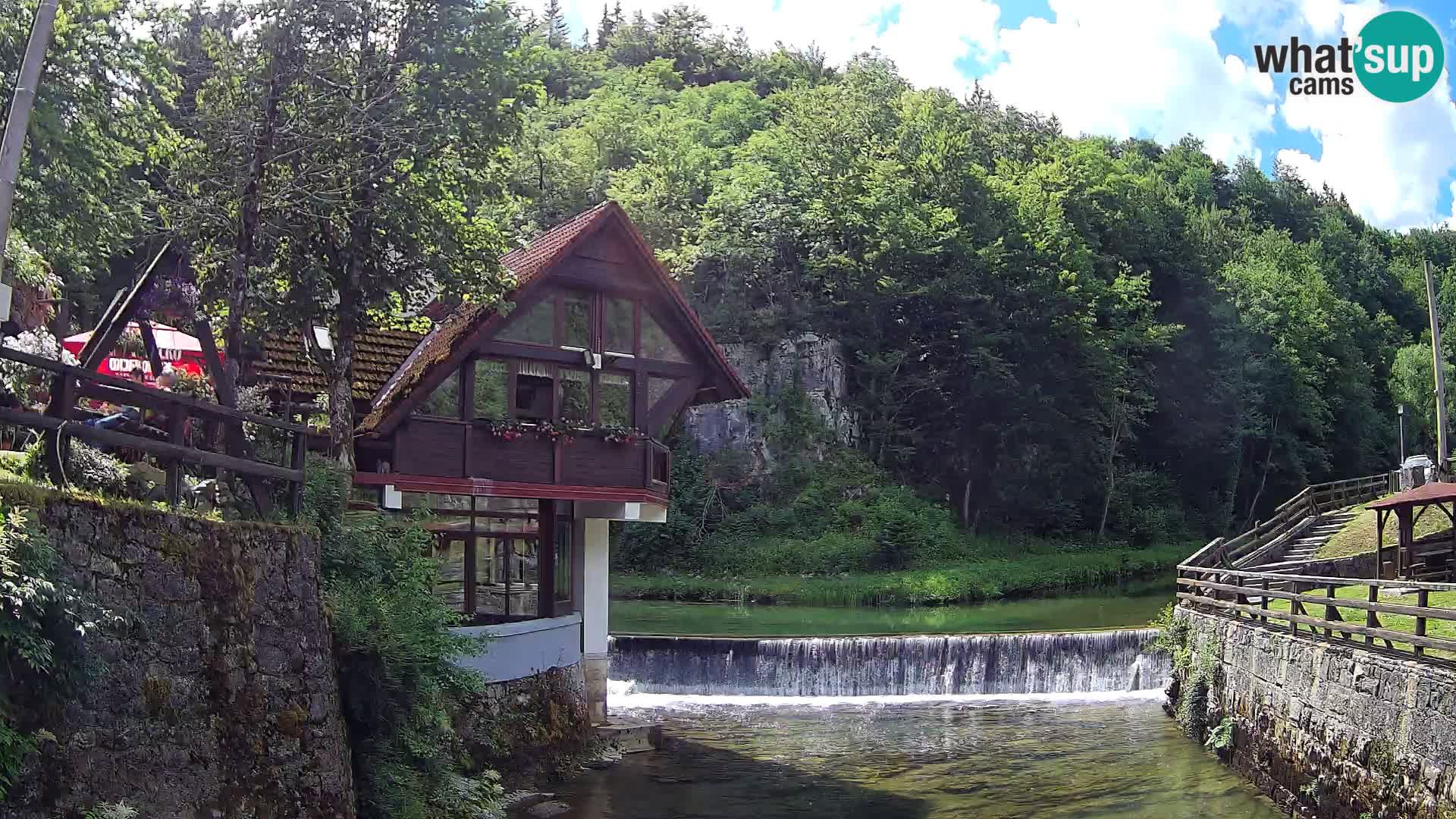 Webcam Kamačnik-Schlucht in Vrbovsko, Kroatien