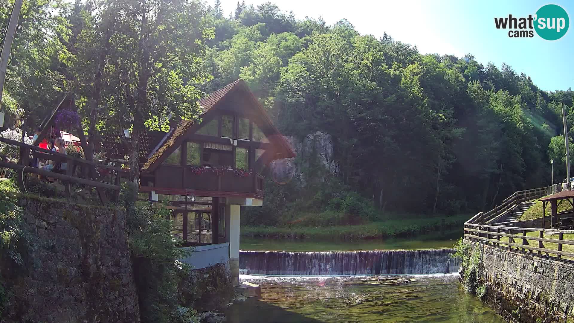 Camera en vivo Cañón Kamačnik – Vrbovsko – Croacia