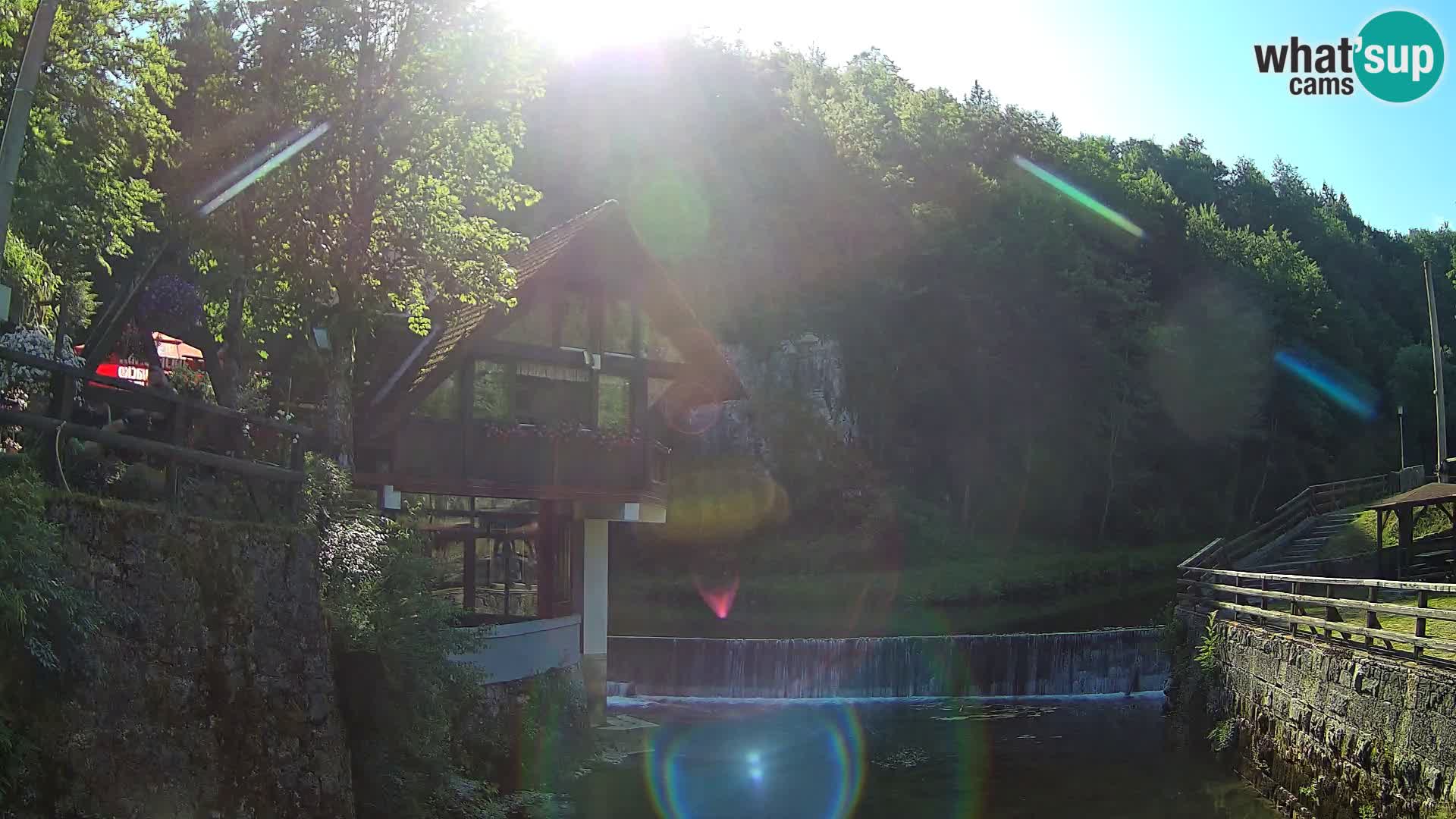 Camera en vivo Cañón Kamačnik – Vrbovsko – Croacia