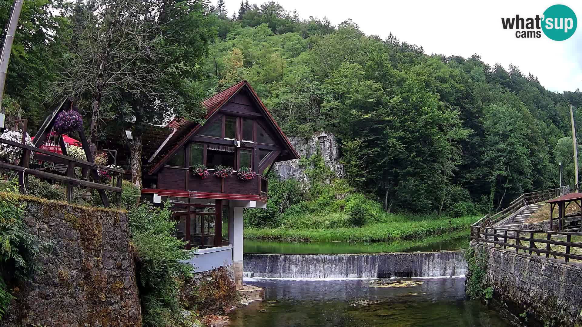 Canyon de Kamacnik Webcam – Vrbovsko – Croatie