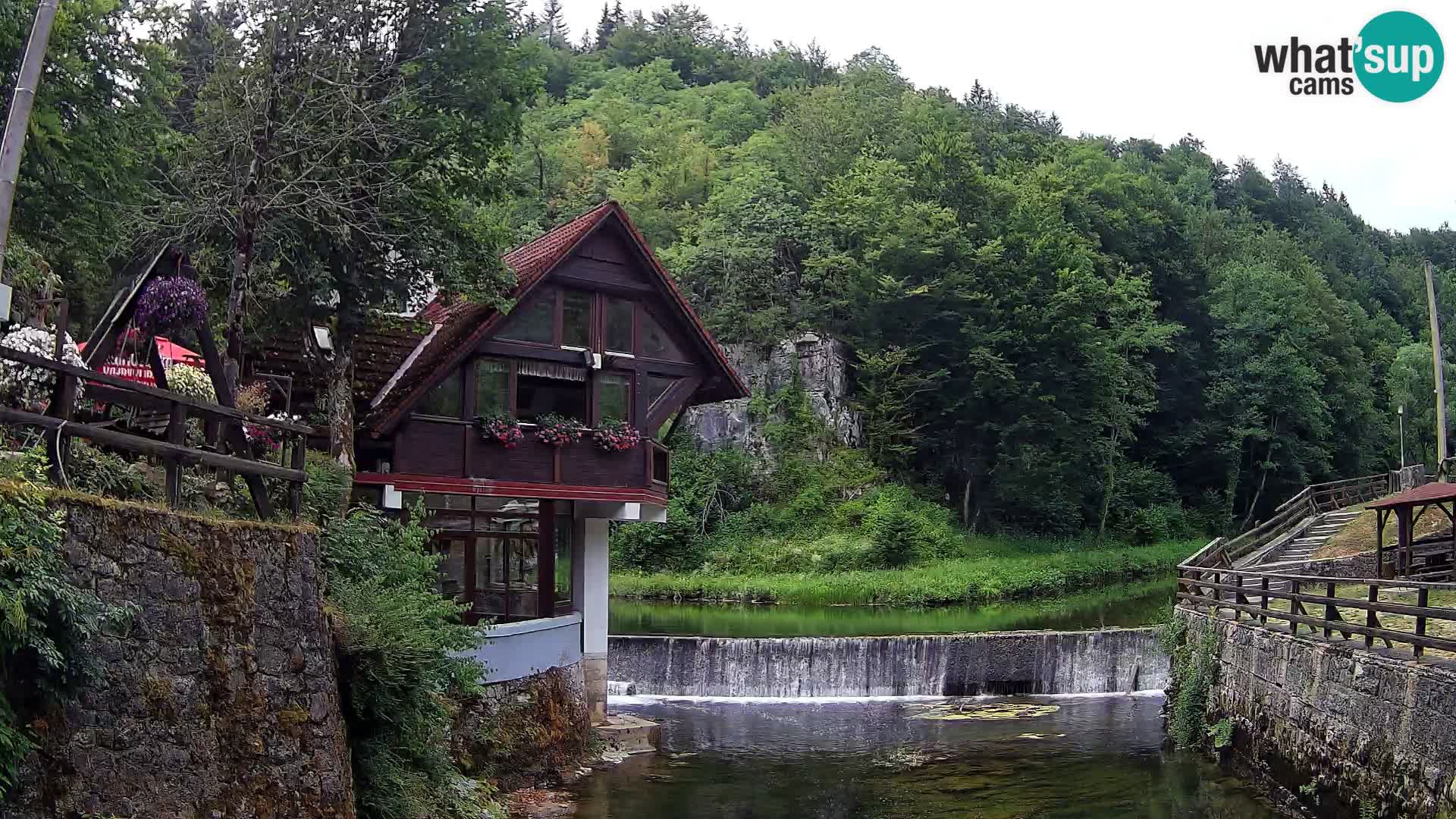 Canyon de Kamacnik Webcam – Vrbovsko – Croatie