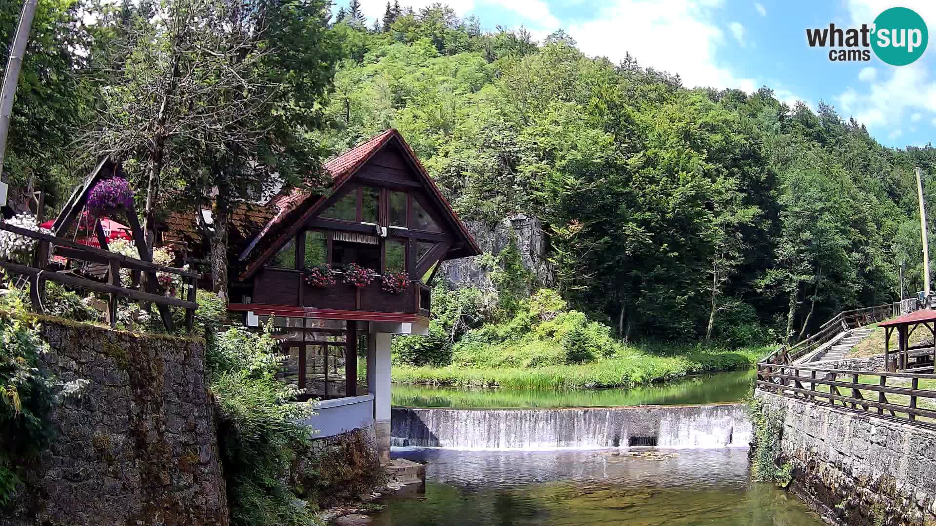 Webcam Kamačnik-Schlucht in Vrbovsko, Kroatien