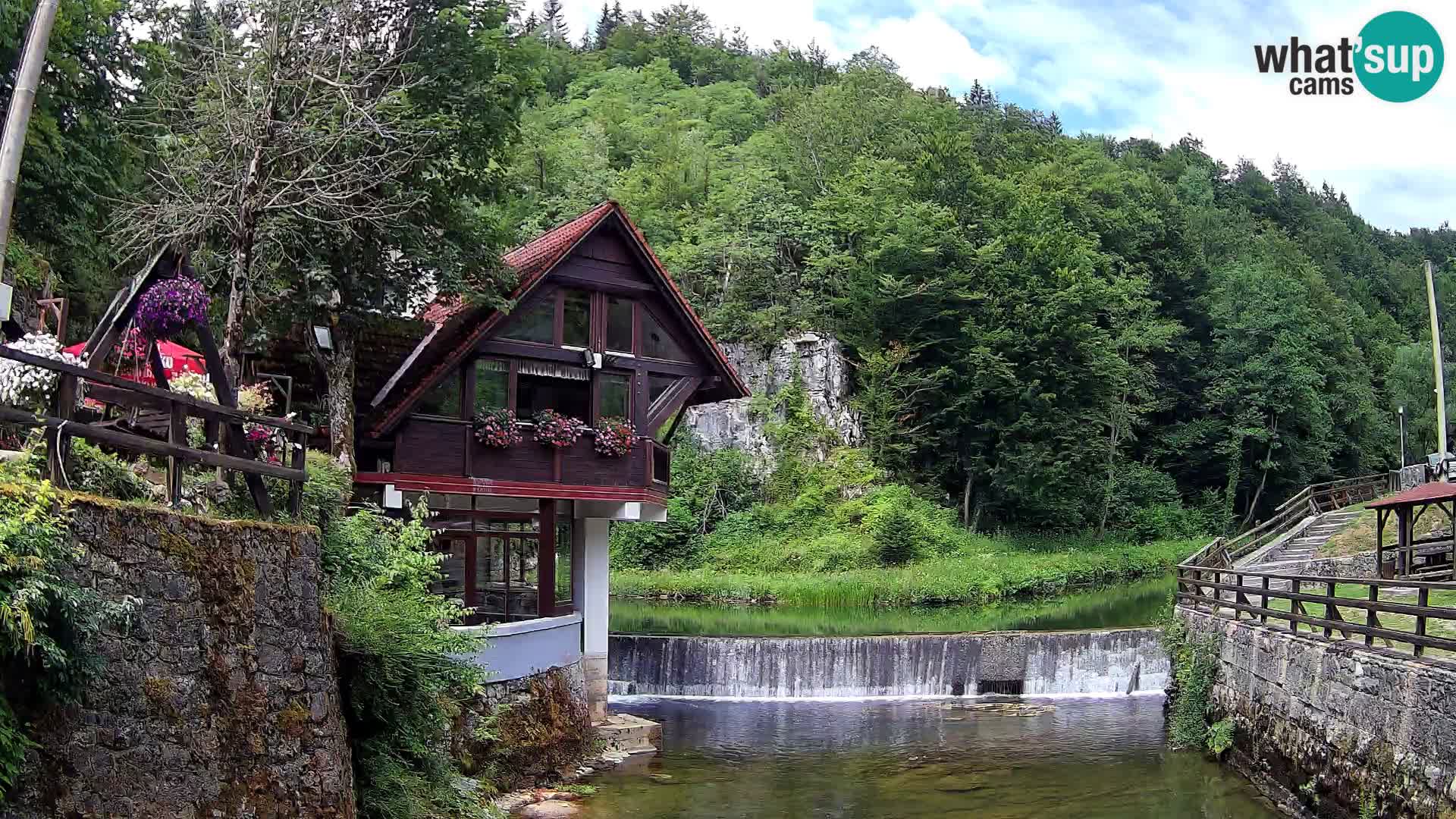 Camera en vivo Cañón Kamačnik – Vrbovsko – Croacia