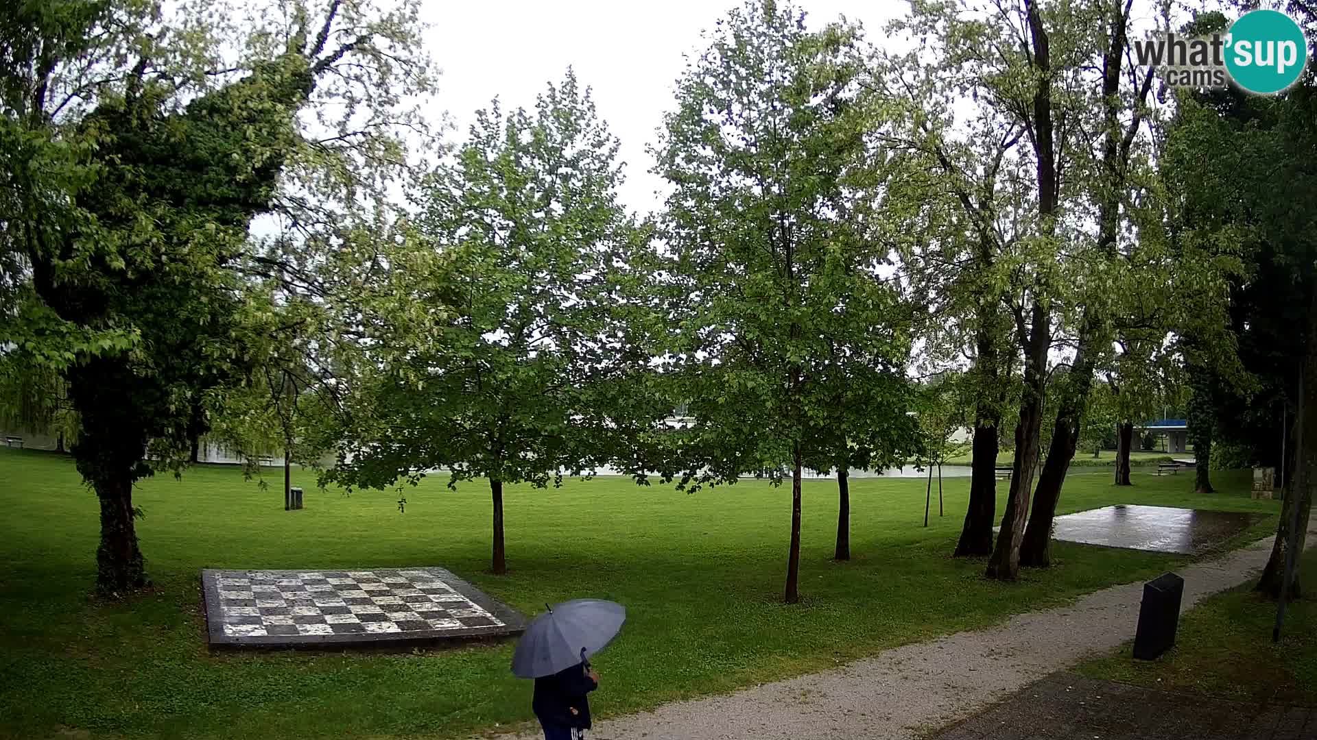 UŽIVO Web kamera Karlovca – Kupalište Foginovo – Korana