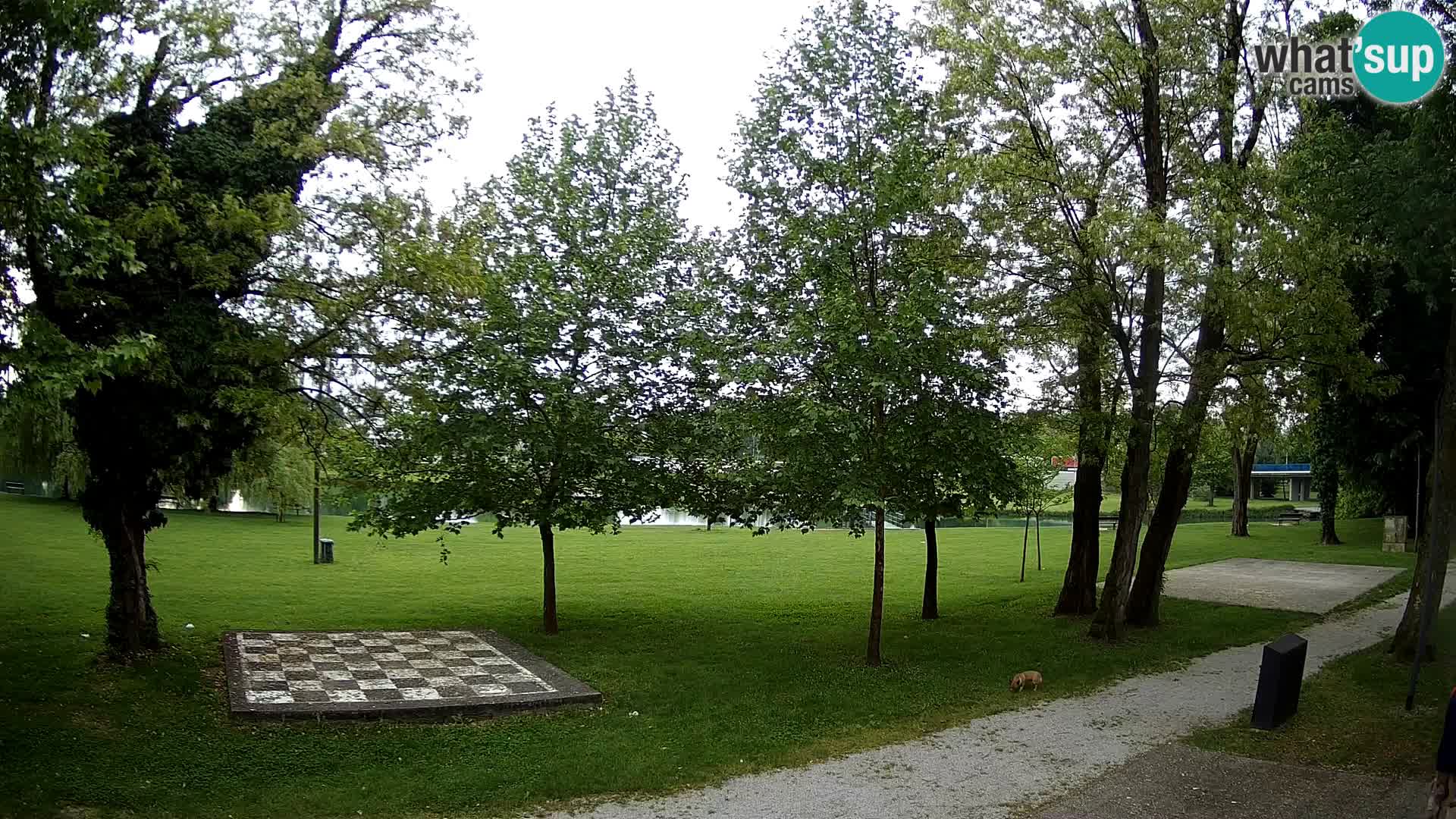 LIVE Karlovac Webcam – Freibad Foginovo – Korana – Kroatien