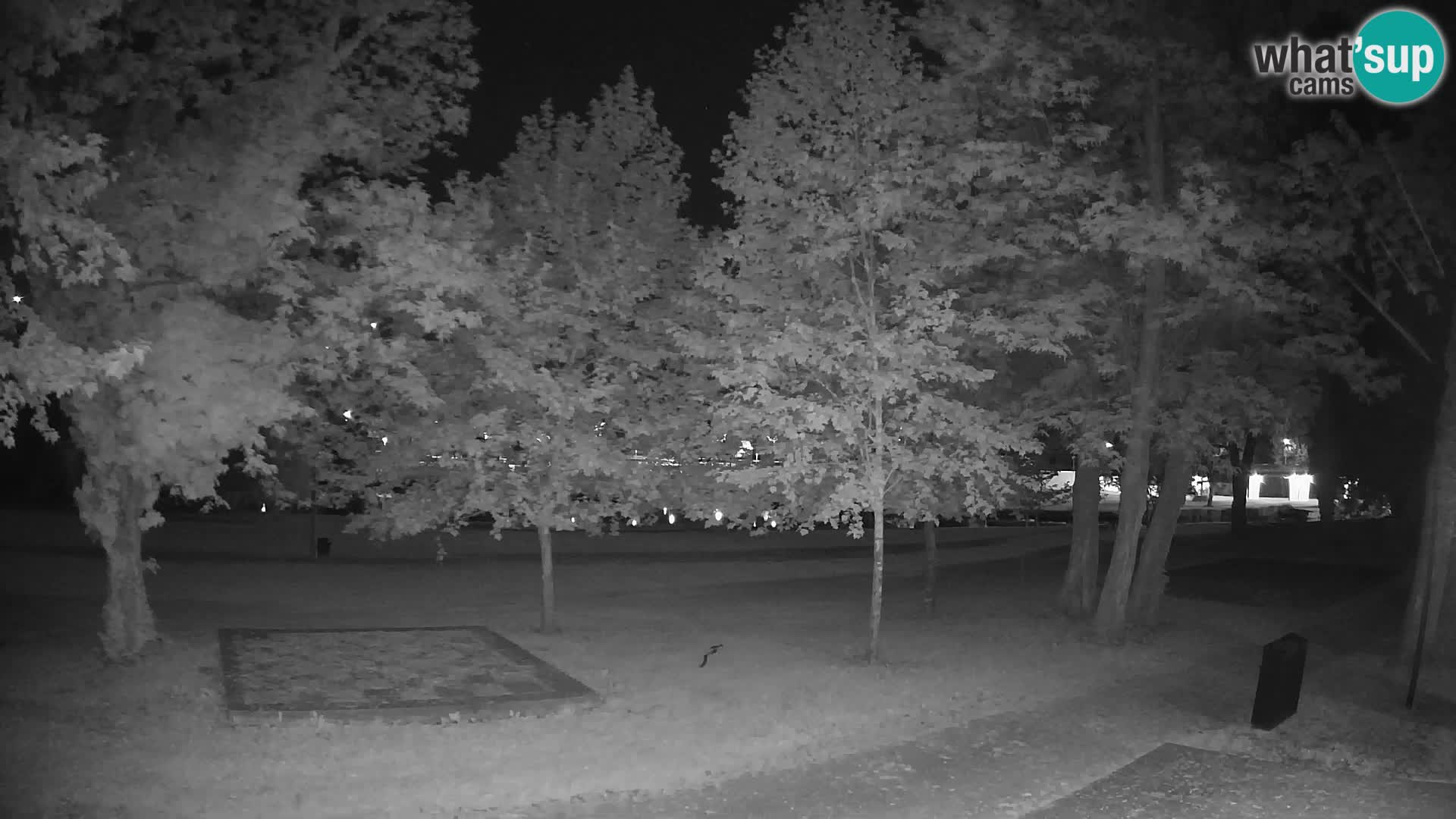 LIVE Karlovac Webcam – Piscina all’aperto Foginovo – Korana – Croazia