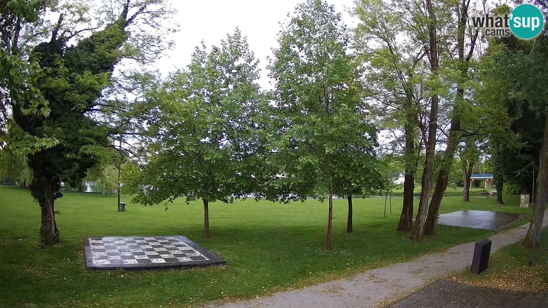 UŽIVO Web kamera Karlovca – Kupalište Foginovo – Korana