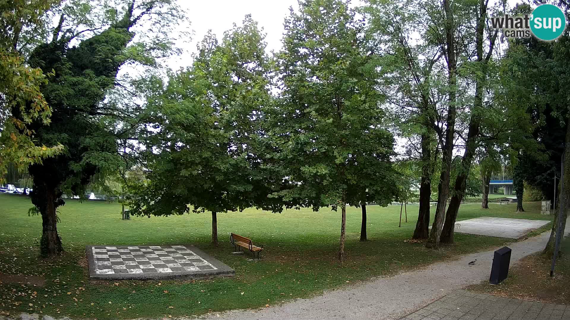 LIVE Karlovac Webcam – Piscina all’aperto Foginovo – Korana – Croazia