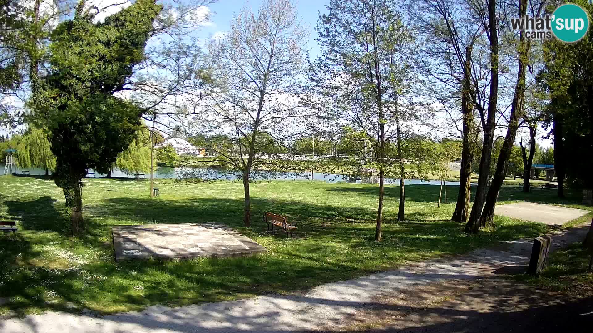 UŽIVO Web kamera Karlovca – Kupalište Foginovo – Korana