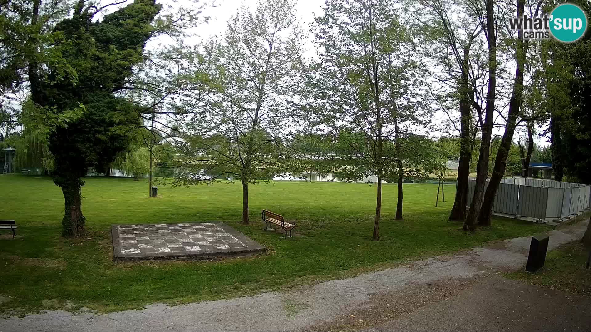 UŽIVO Web kamera Karlovca – Kupalište Foginovo – Korana