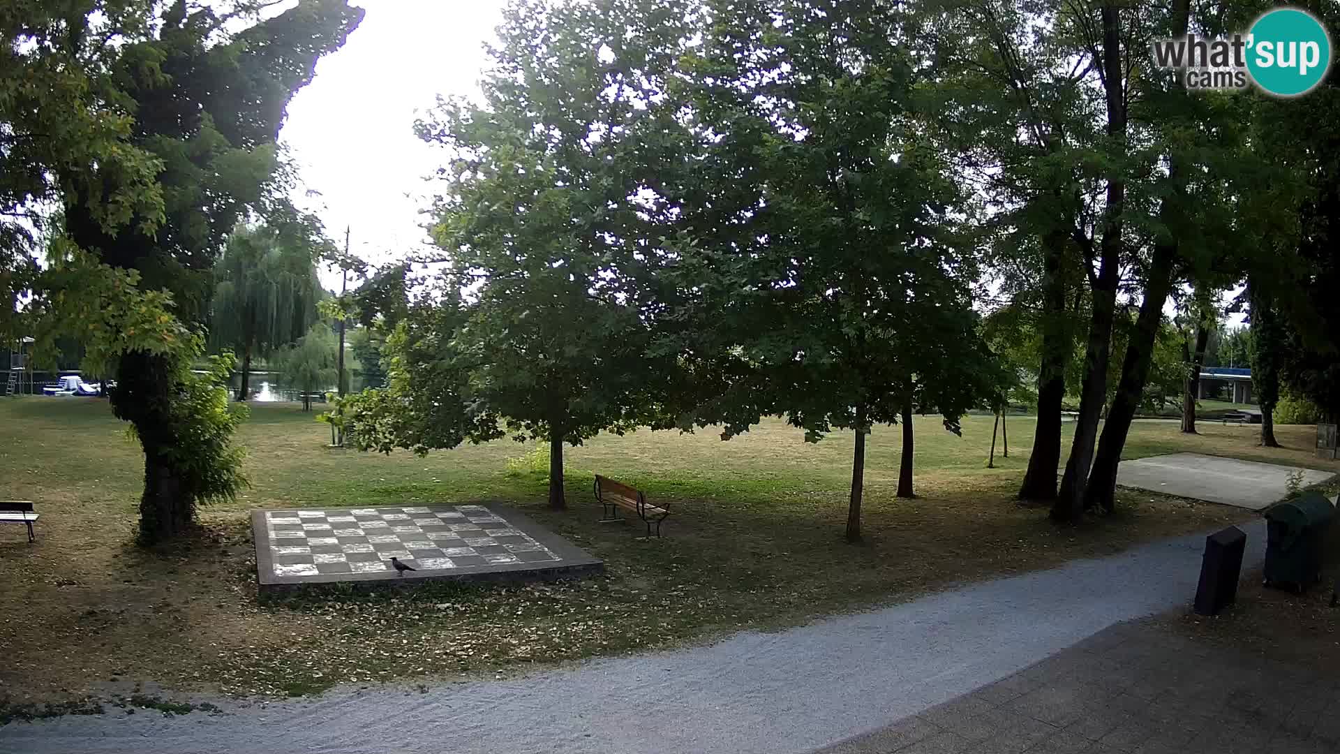 UŽIVO Web kamera Karlovca – Kupalište Foginovo – Korana