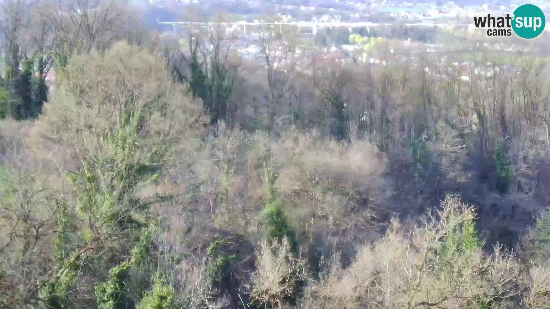 Webcam Karlstadt Burg Dubovac – Liveblick auf das historische Wahrzeichen