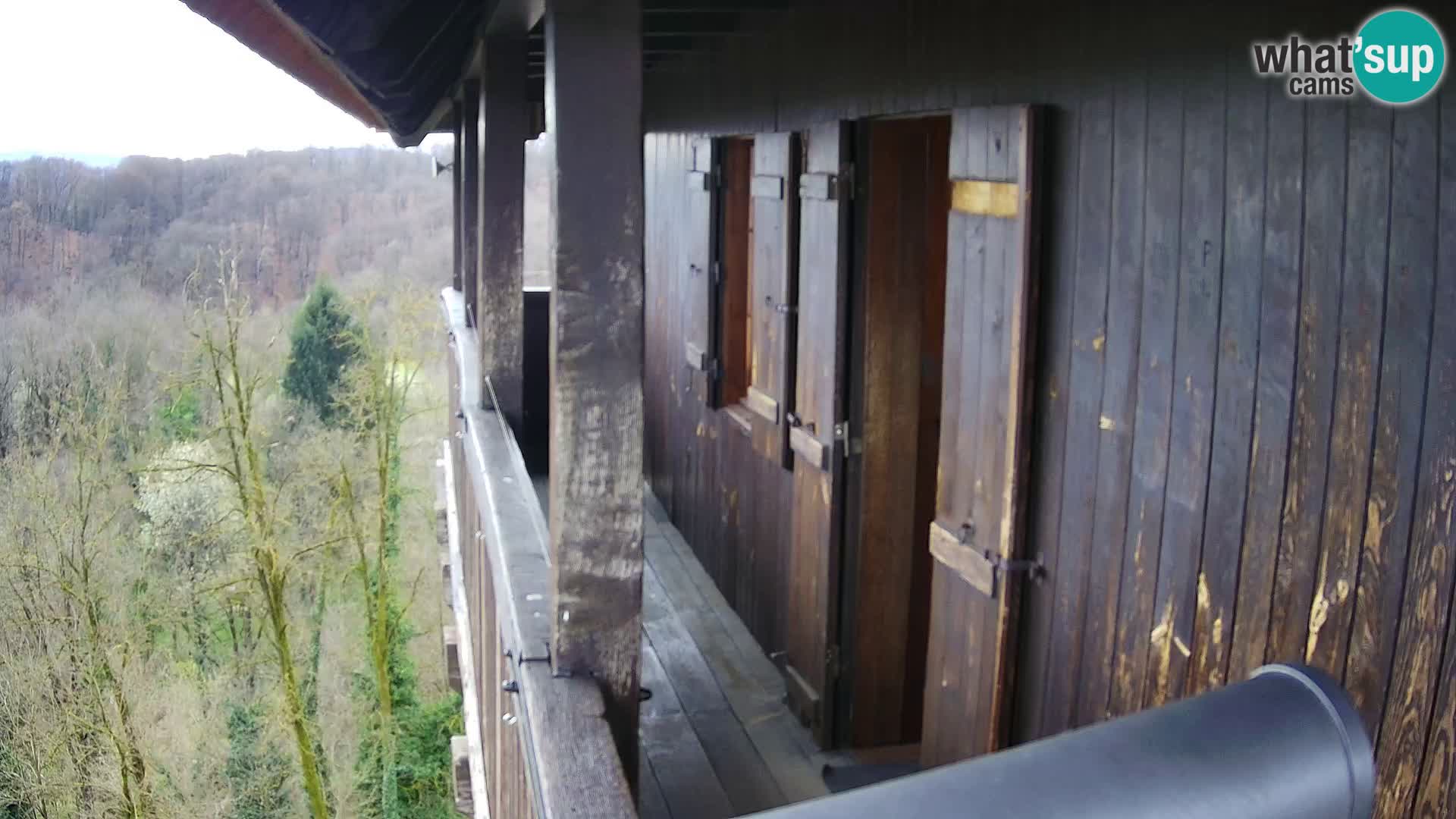 Web kamera Karlovac – Dvorac Dubovac uživo