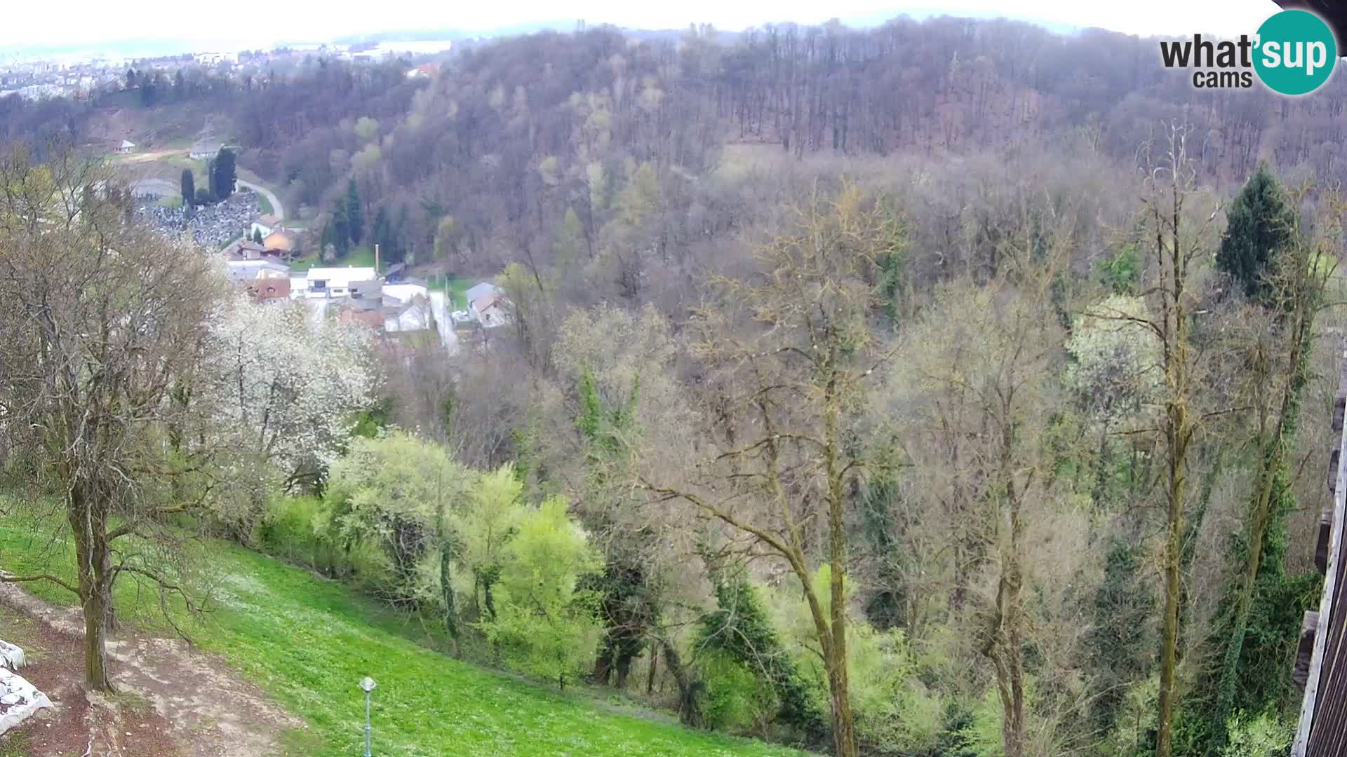 Webcam Karlstadt Burg Dubovac – Liveblick auf das historische Wahrzeichen