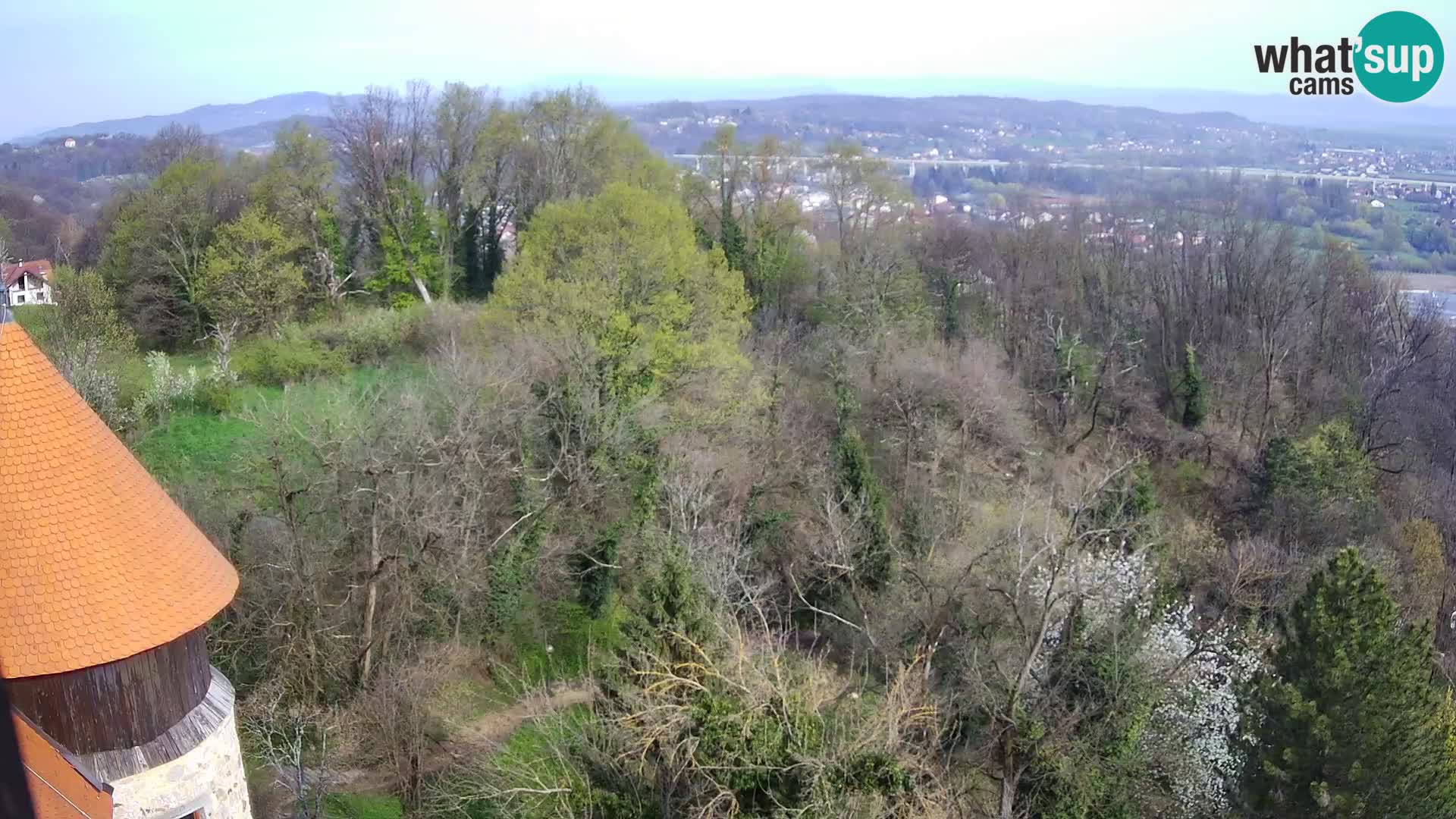 Web kamera Karlovac – Dvorac Dubovac uživo