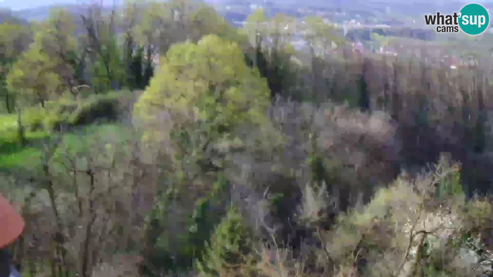 Spletna kamera Karlovac Dubovac grad – Pogled v živo na zgodovinsko znamenitost Karlovca