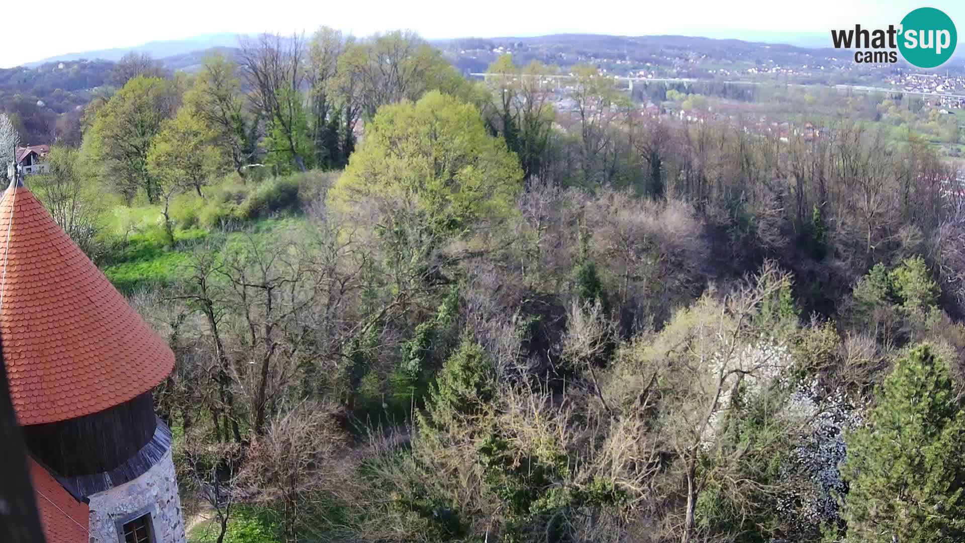 Webcam Karlstadt Burg Dubovac – Liveblick auf das historische Wahrzeichen