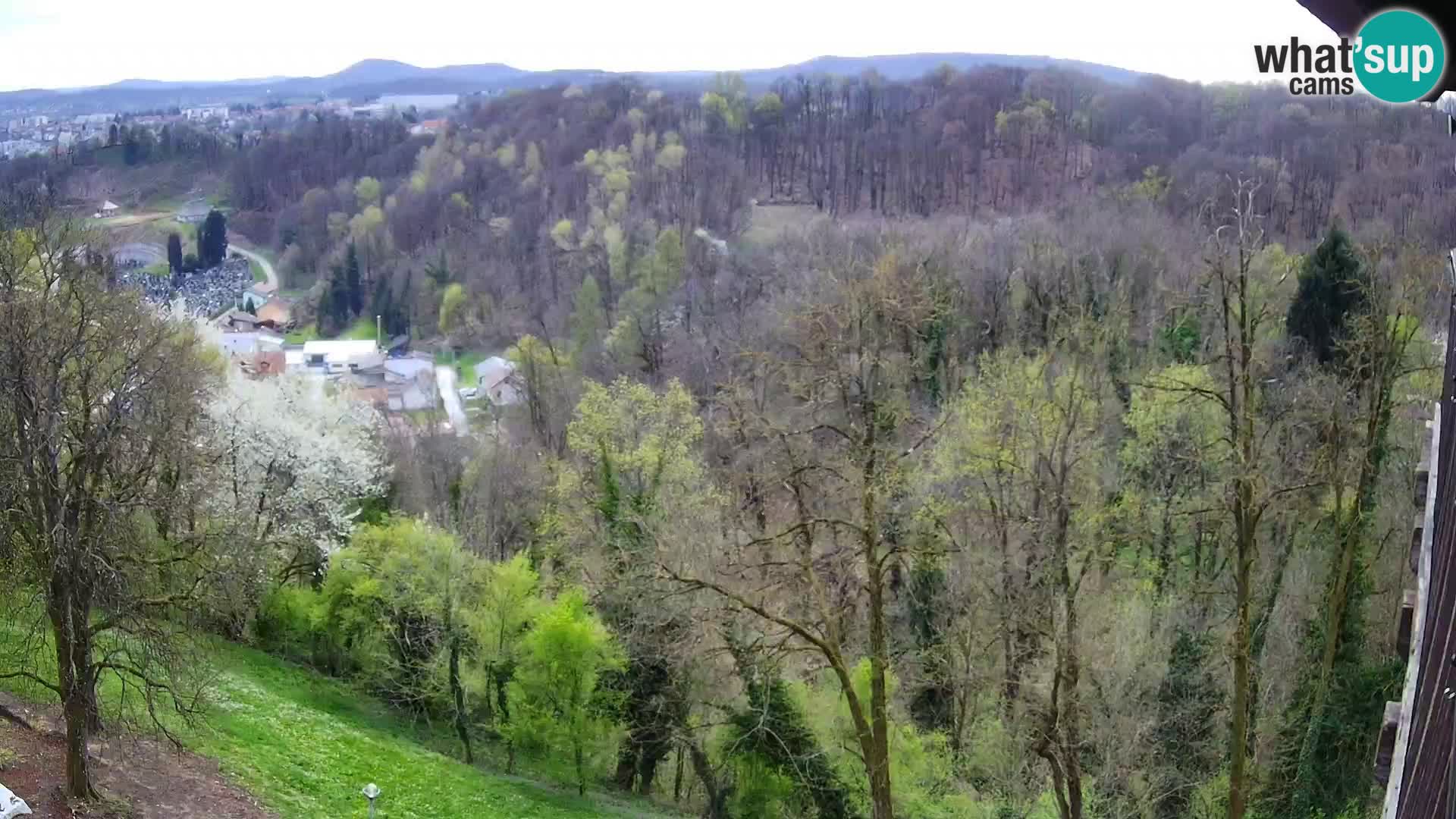 Web kamera Karlovac – Dvorac Dubovac uživo