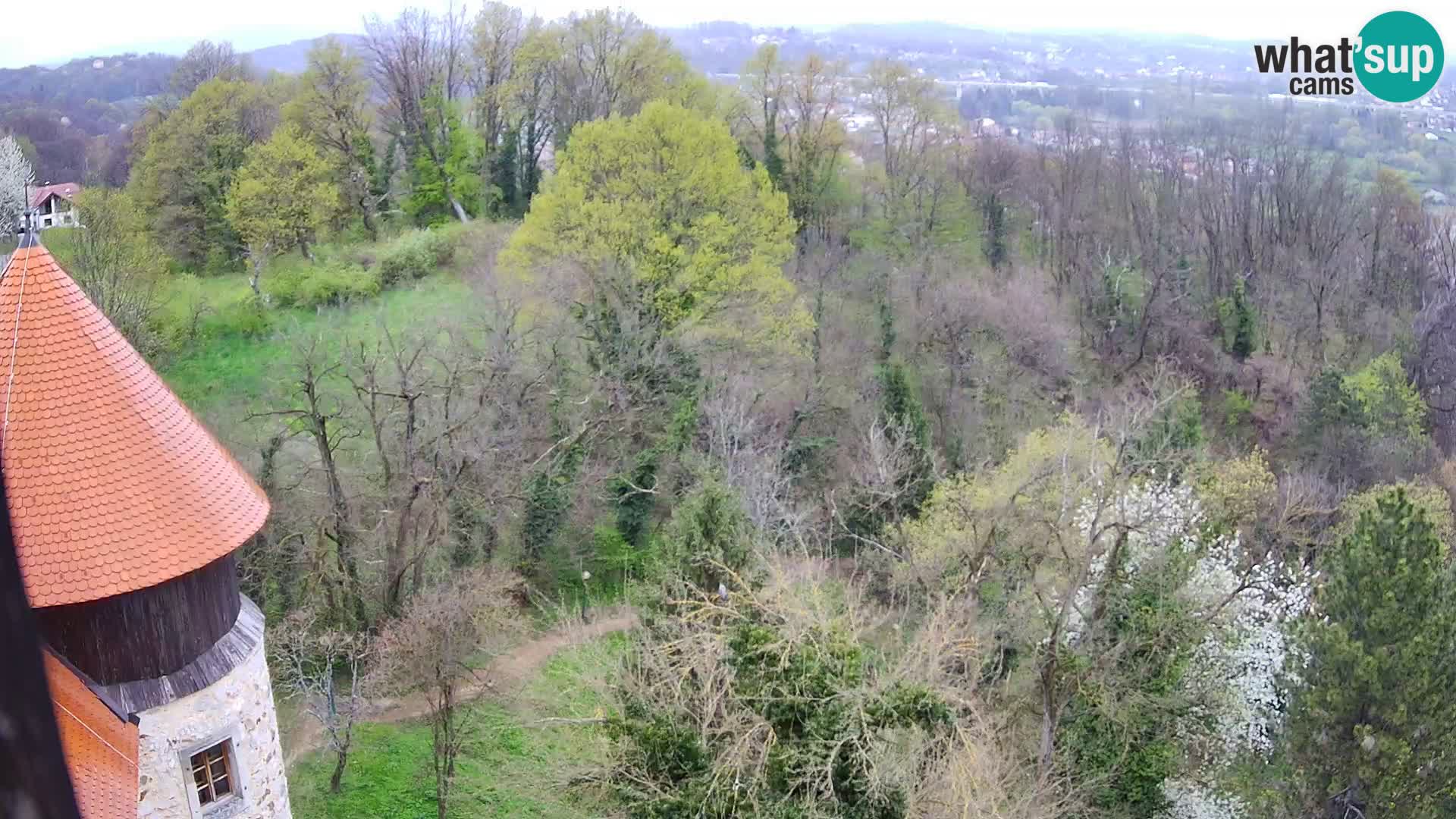 Webcam Karlstadt Burg Dubovac – Liveblick auf das historische Wahrzeichen