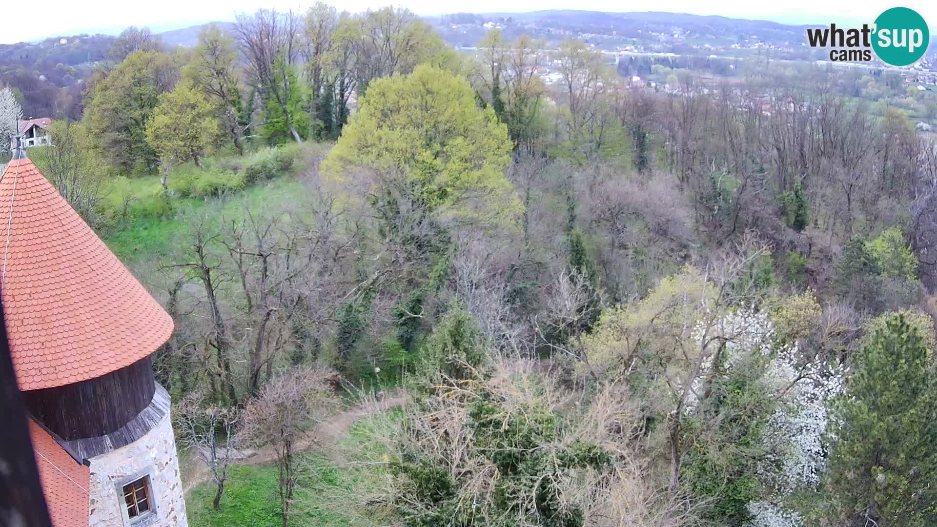 Webcam Karlstadt Burg Dubovac – Liveblick auf das historische Wahrzeichen