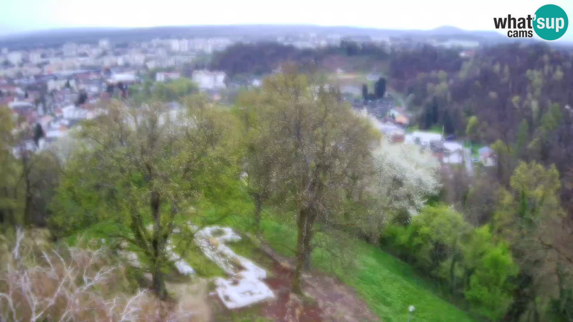 Webcam Karlstadt Burg Dubovac – Liveblick auf das historische Wahrzeichen