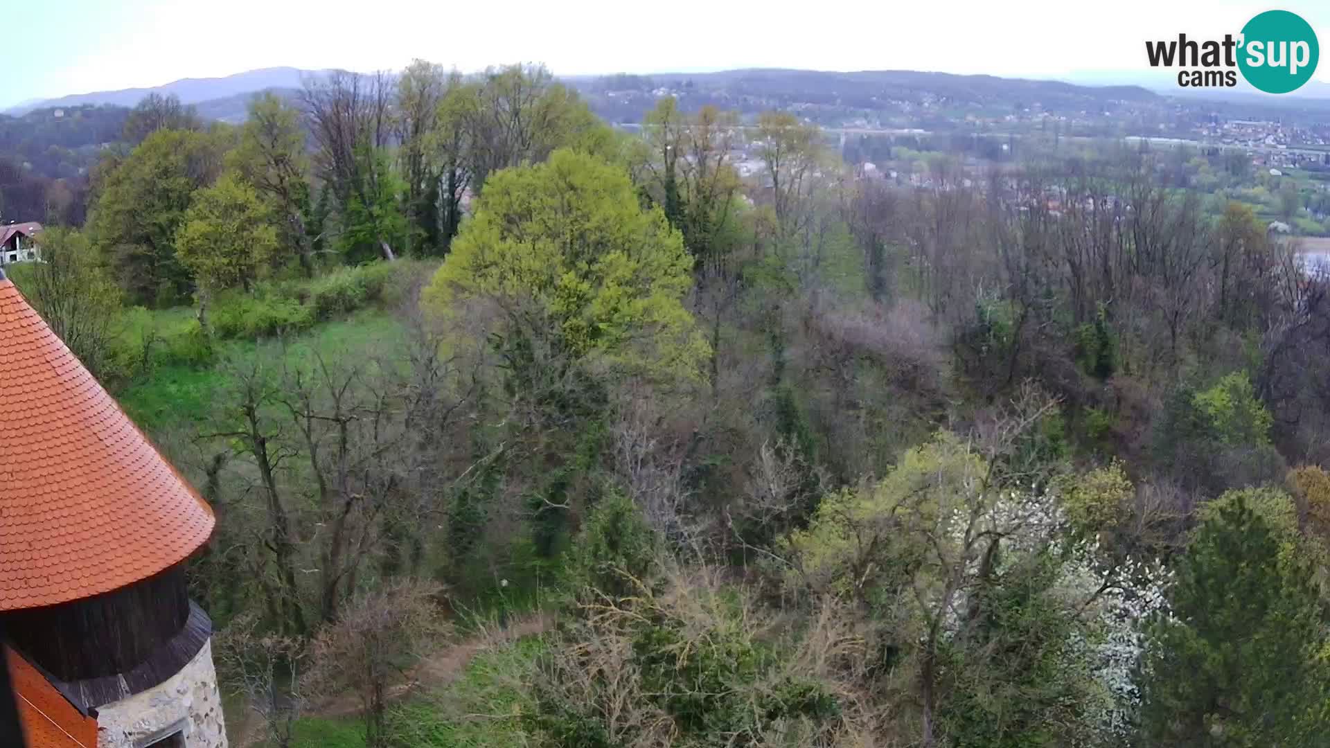 Web kamera Karlovac – Dvorac Dubovac uživo