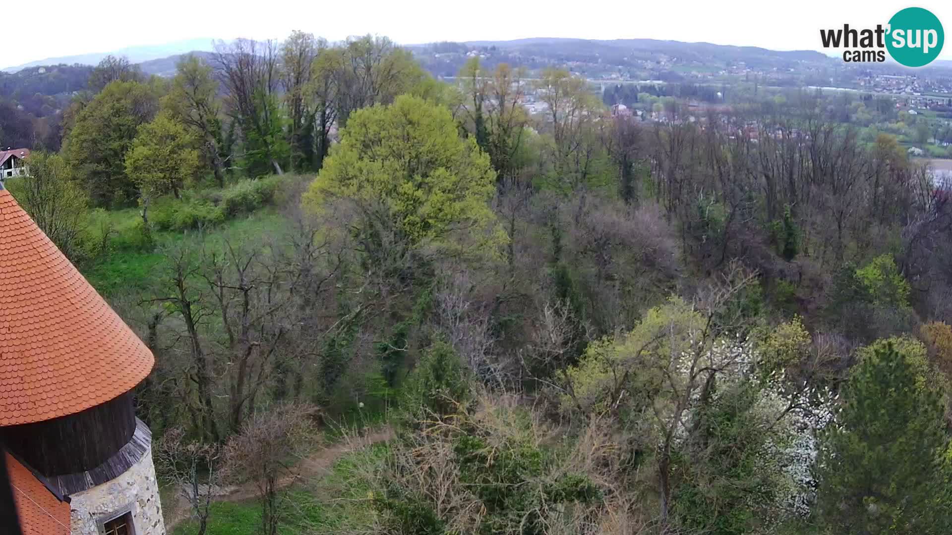 Web kamera Karlovac – Dvorac Dubovac uživo