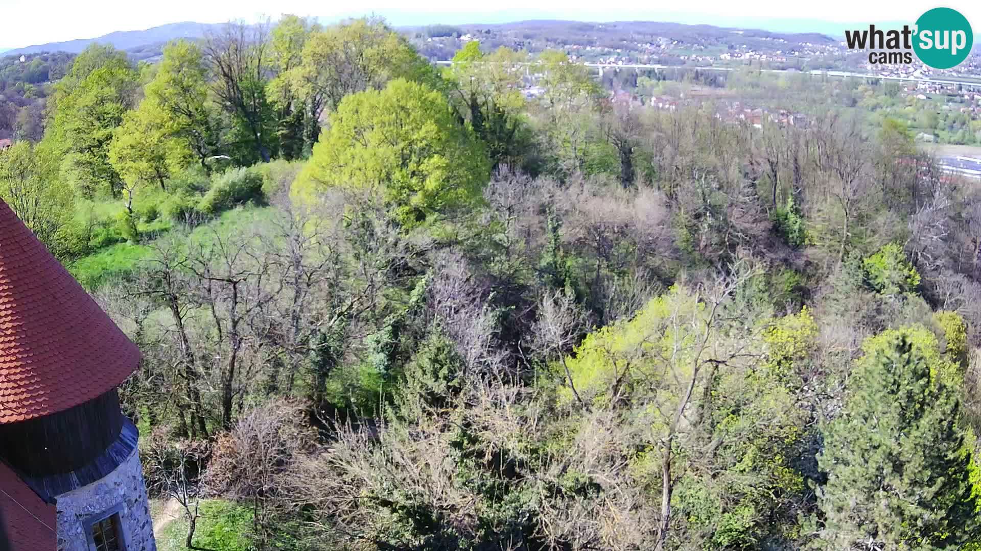 Webcam Castillo Dubovac Karlovac – Vista en directo del histórico castillo