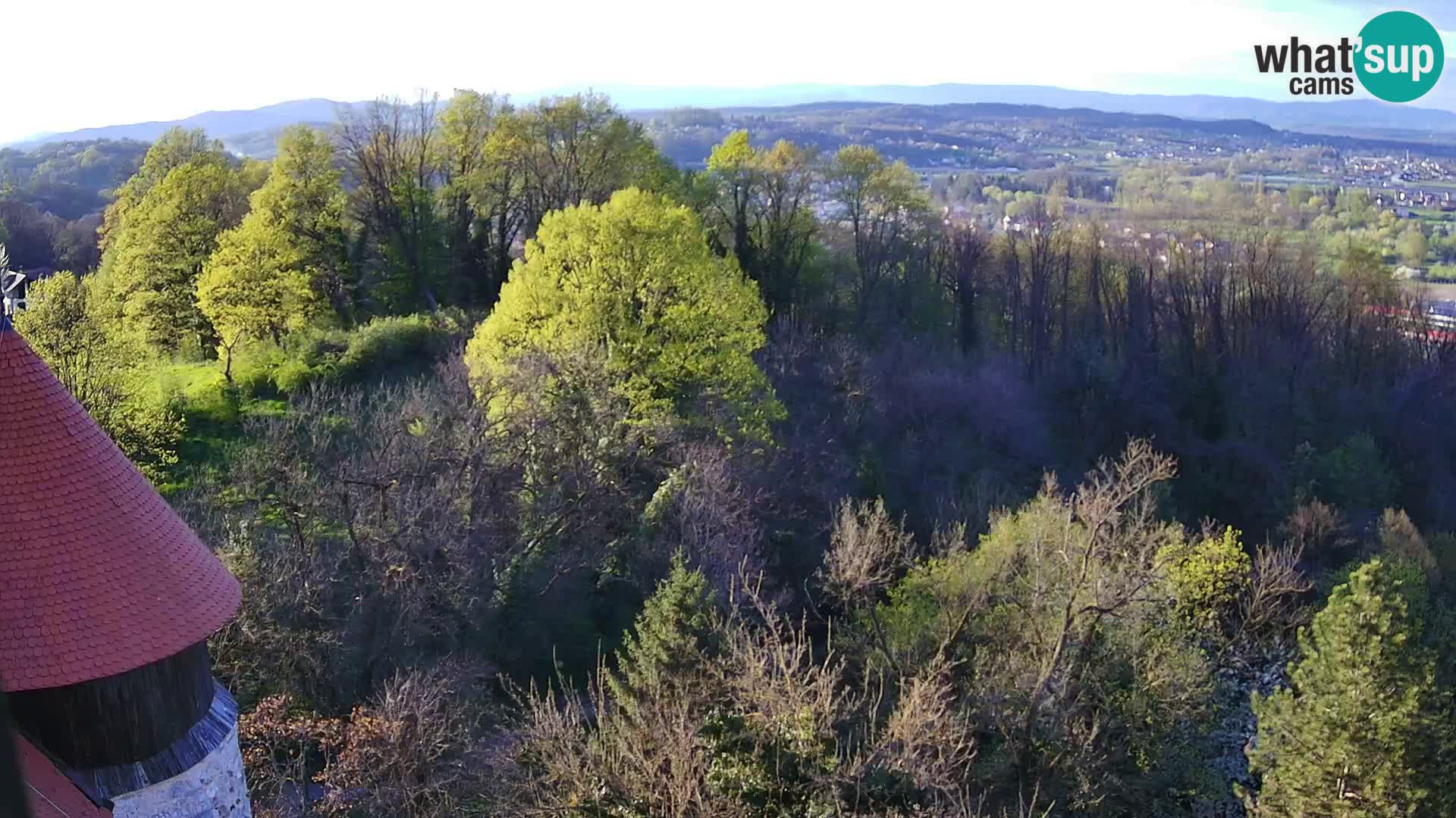 Web kamera Karlovac – Dvorac Dubovac uživo