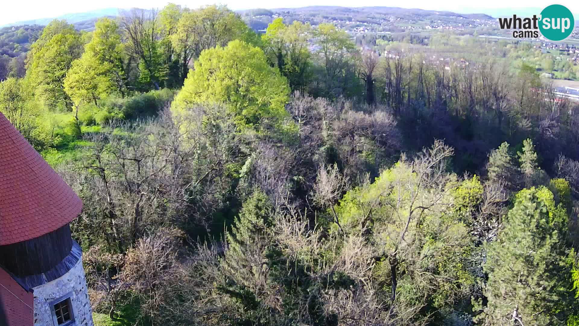 Webcam Castello Dubovac Karlovac – Vista Live sul Castello Storico