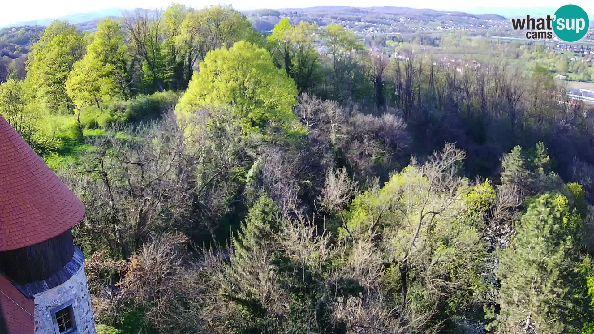 Webcam Castillo Dubovac Karlovac – Vista en directo del histórico castillo