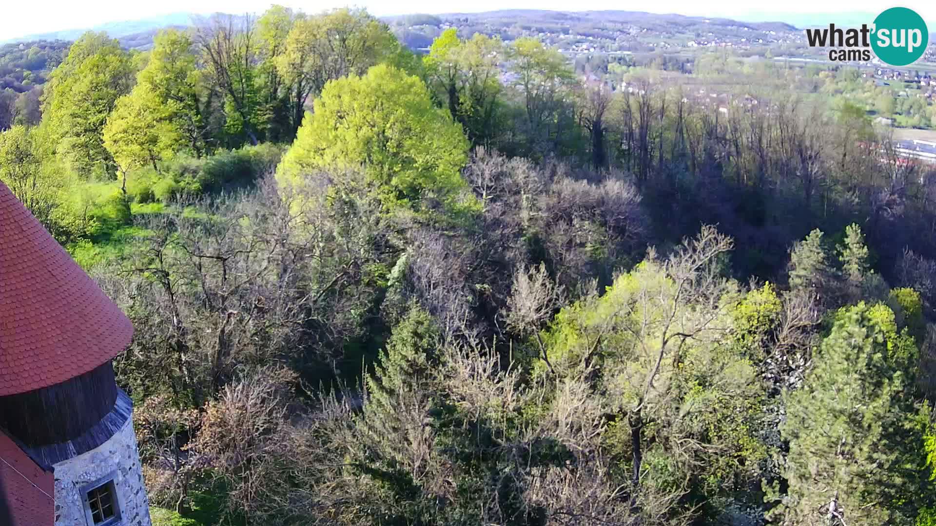 Webcam Castillo Dubovac Karlovac – Vista en directo del histórico castillo