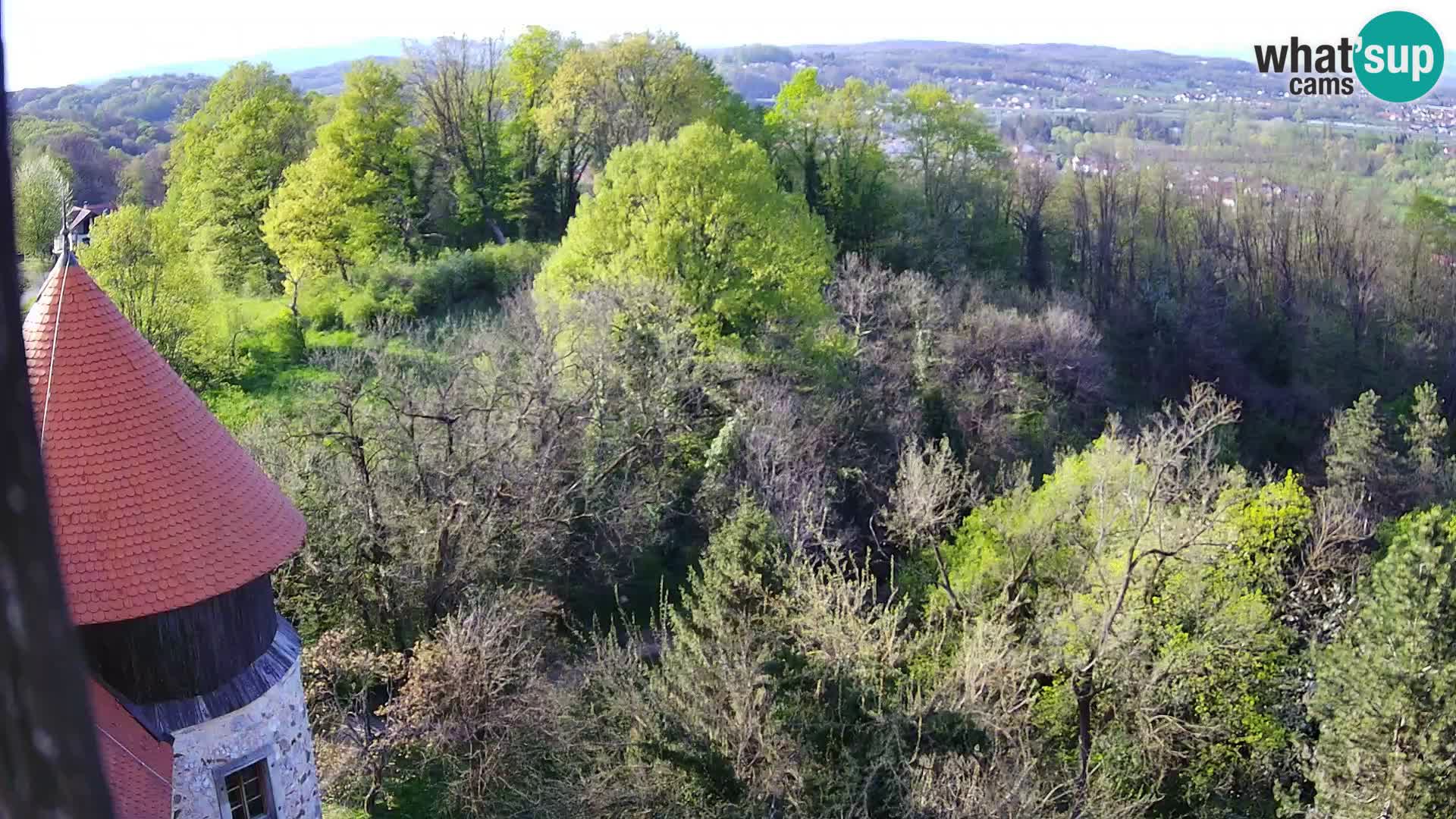 Webcam Karlovac Dubovac Castle – Live View of Karlovac’s Historic Landmark