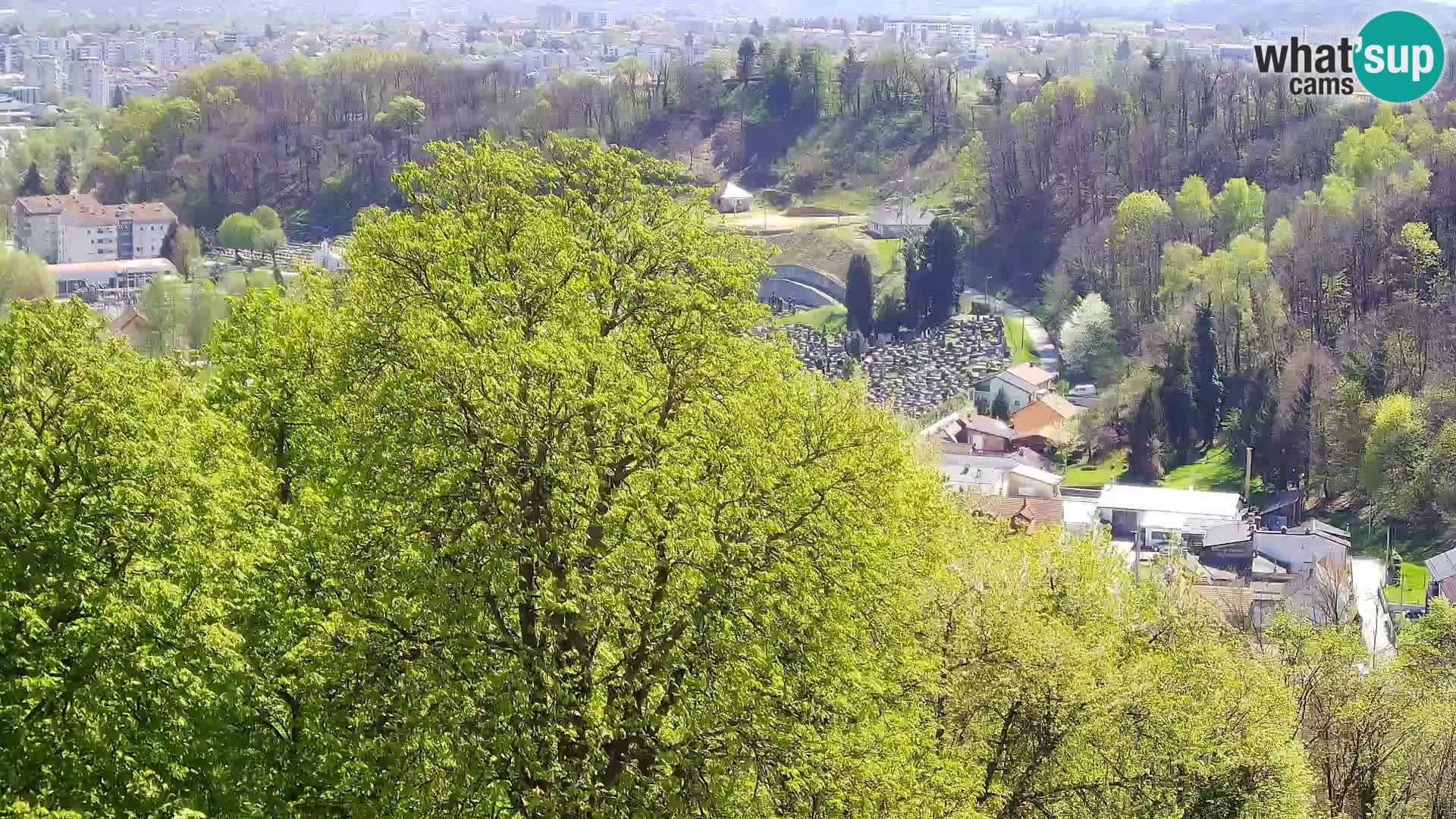 Webcam Karlstadt Burg Dubovac – Liveblick auf das historische Wahrzeichen