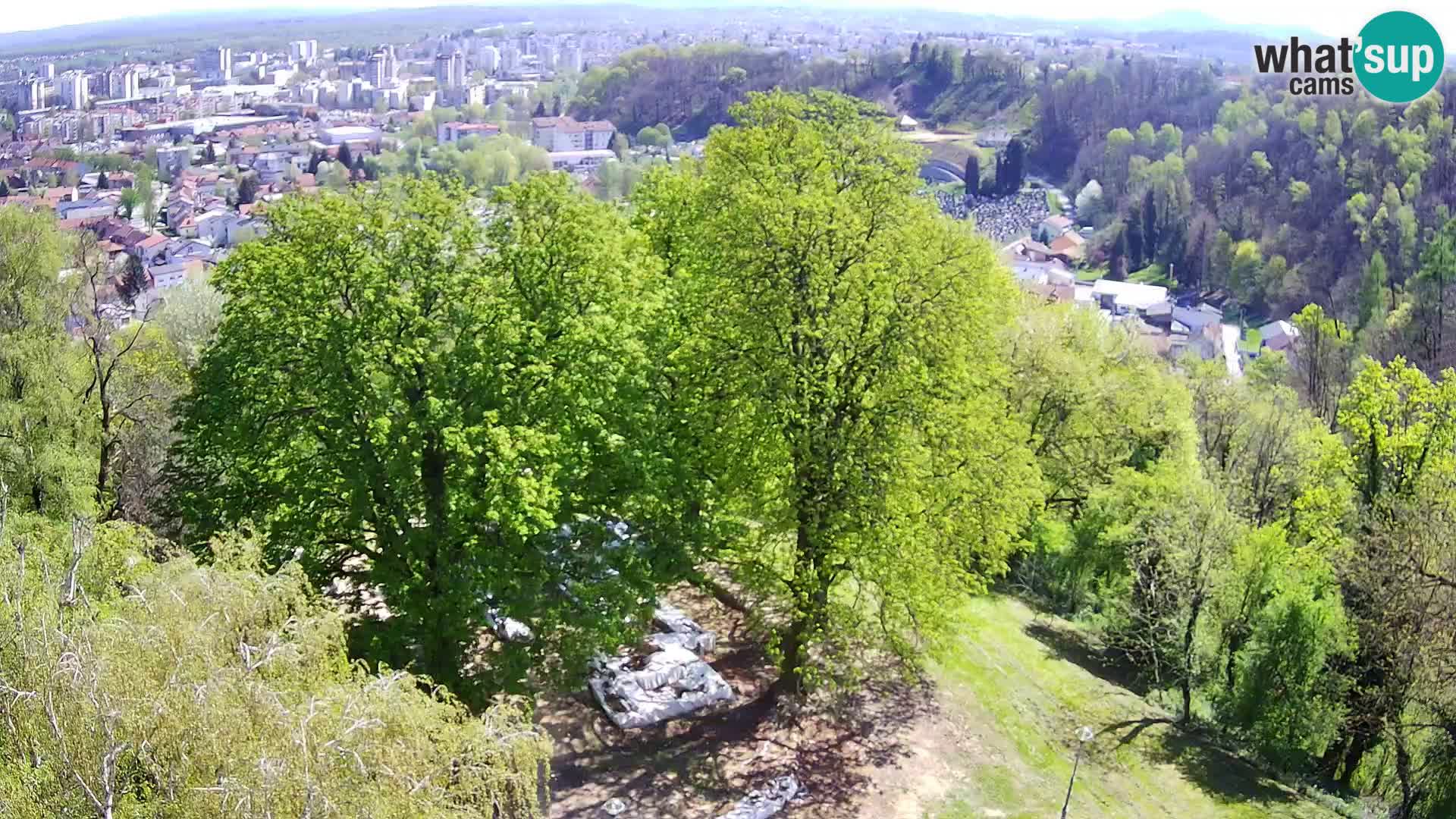 Webcam Karlstadt Burg Dubovac – Liveblick auf das historische Wahrzeichen