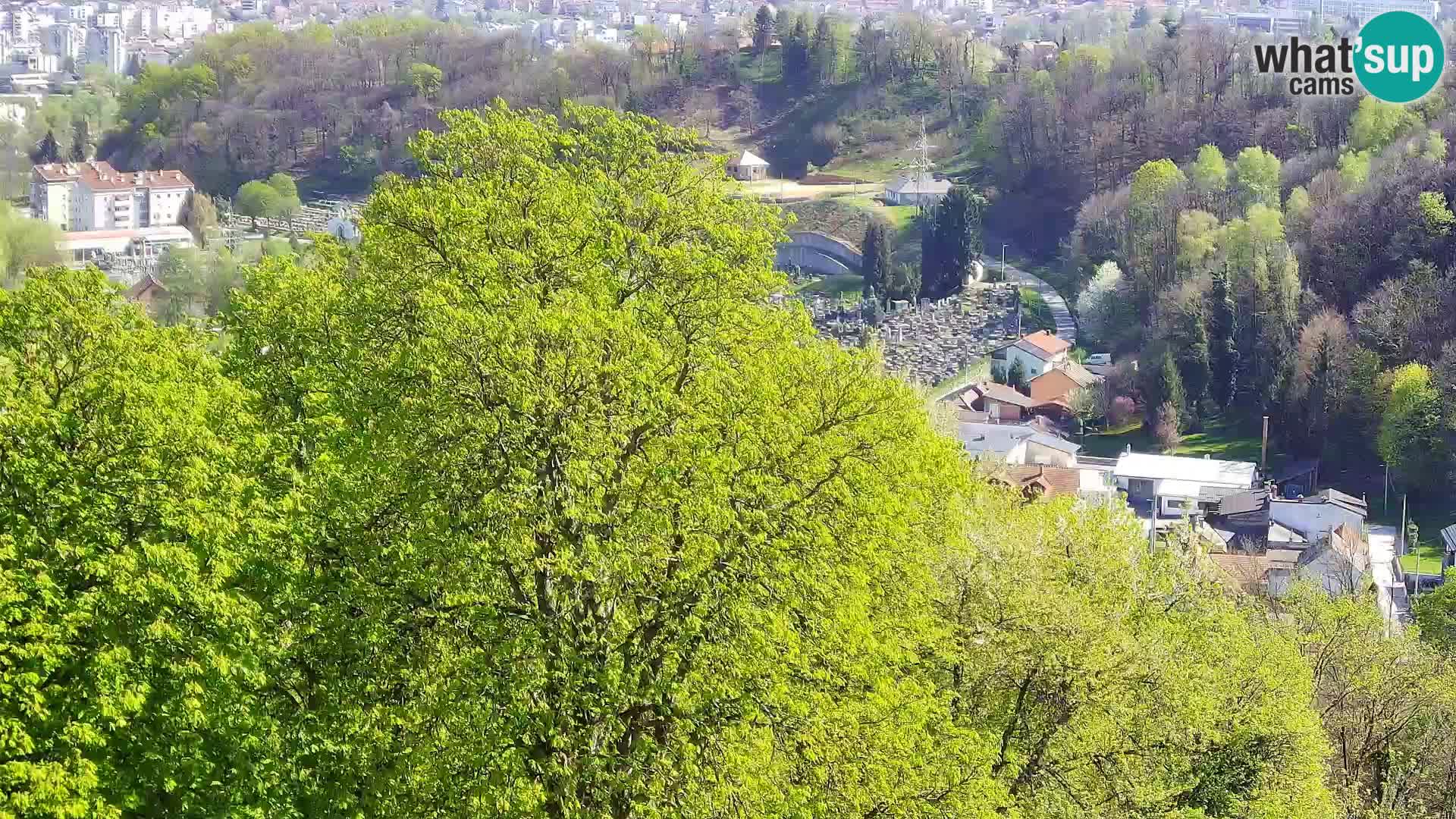 Webcam Karlstadt Burg Dubovac – Liveblick auf das historische Wahrzeichen