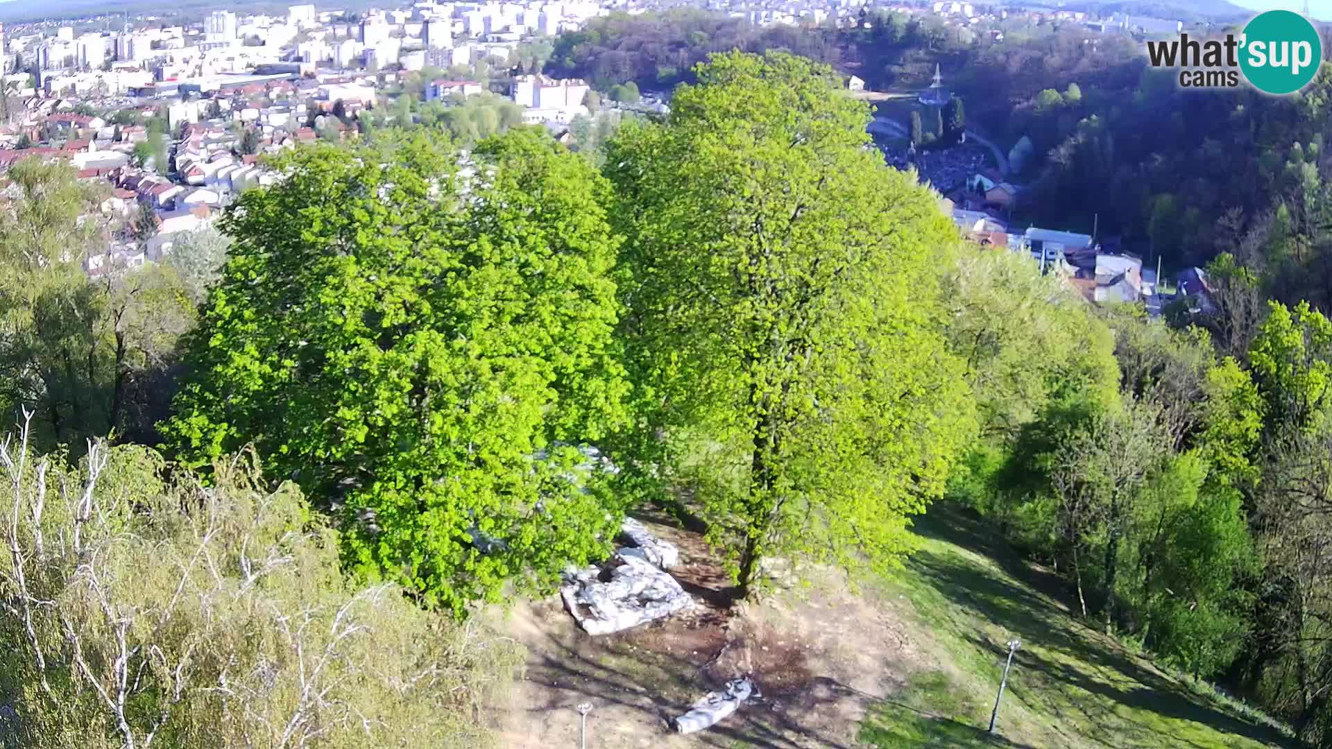 Webcam Karlstadt Burg Dubovac – Liveblick auf das historische Wahrzeichen