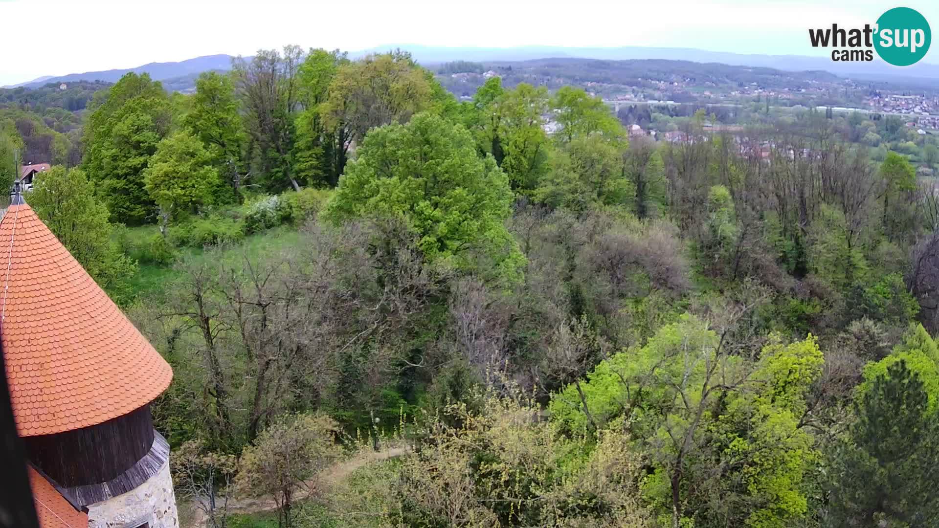 Web kamera Karlovac – Dvorac Dubovac uživo